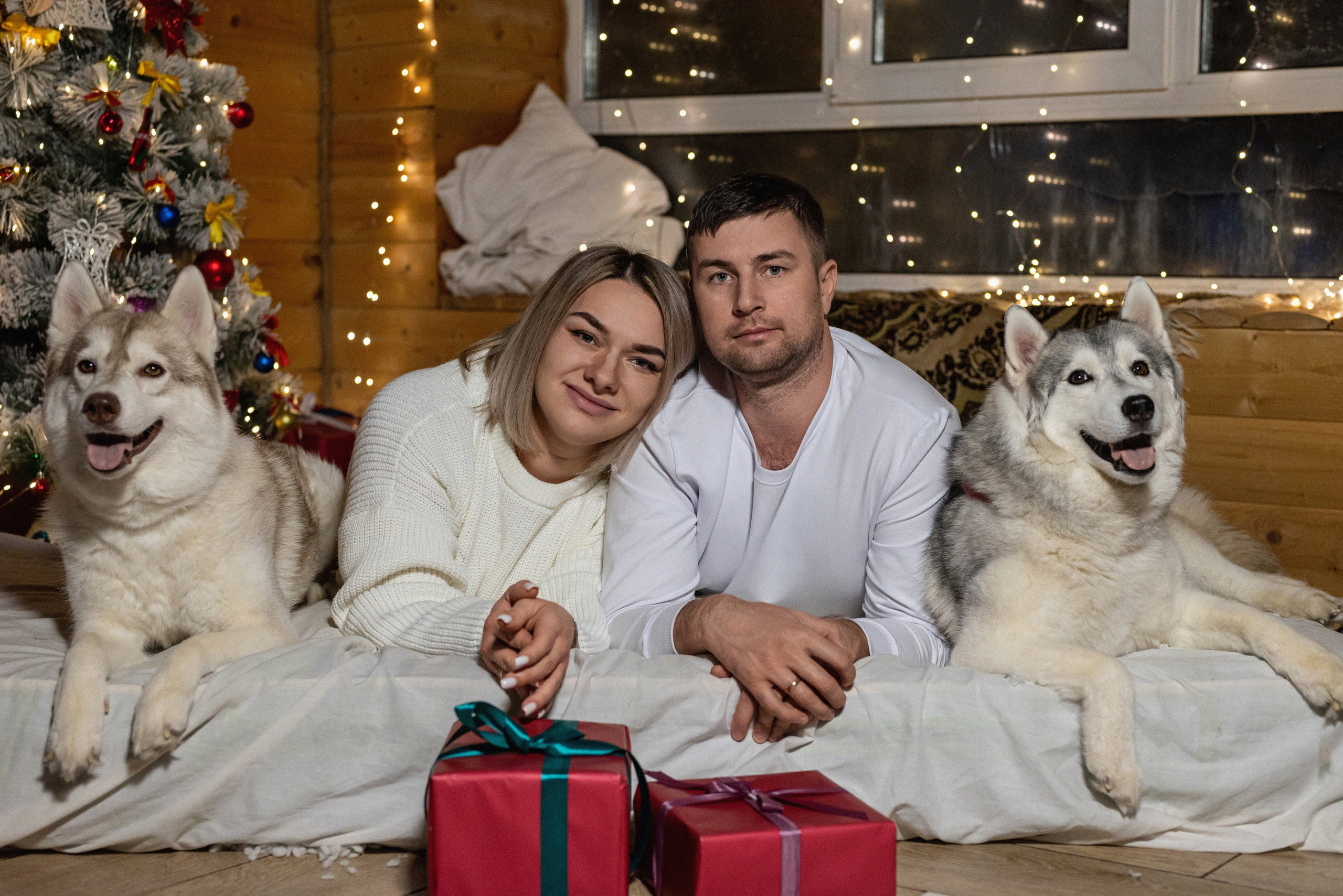 Фотопроект с хаски 2024 г. Фотограф в городе Салават