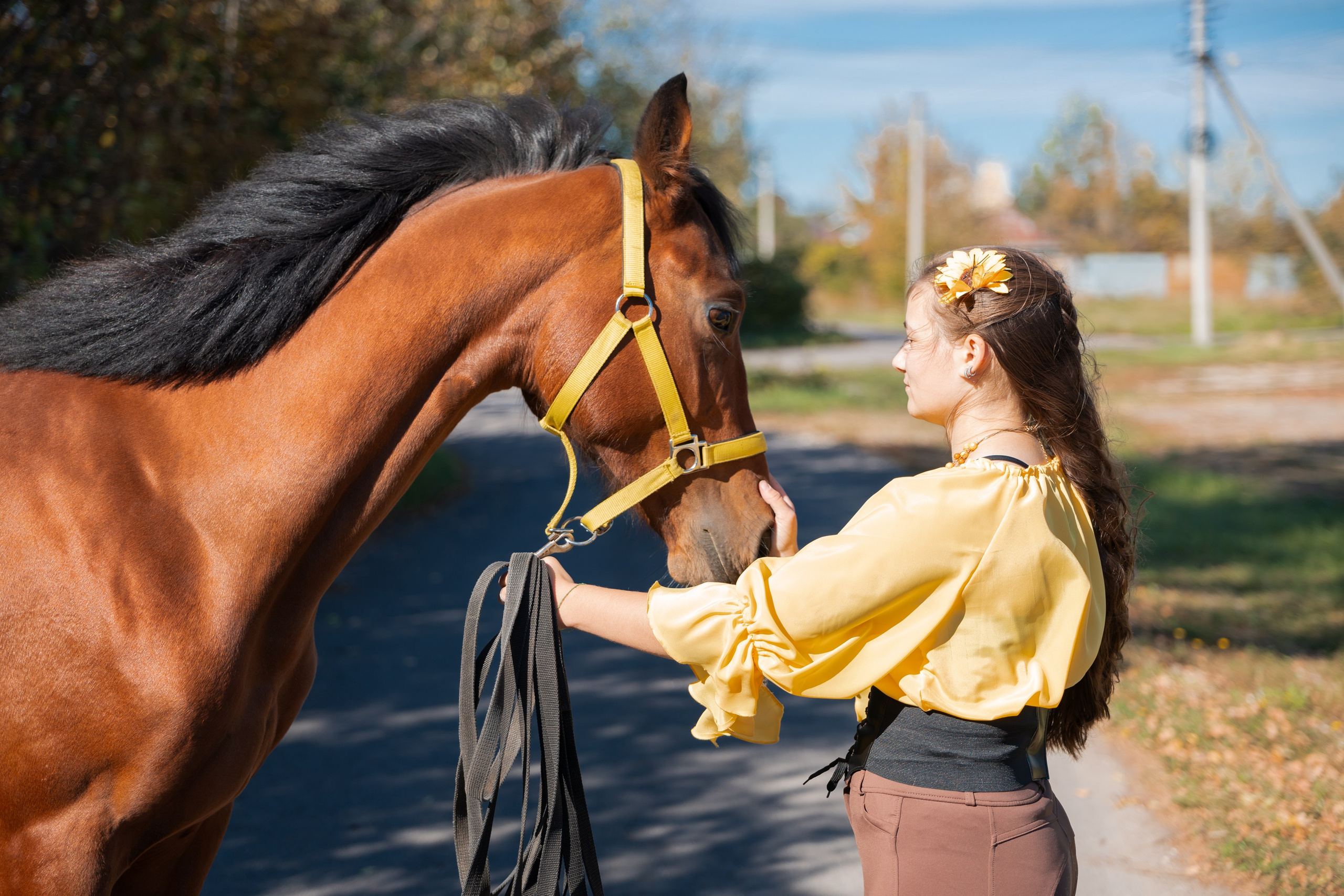 Фотосессия с лошадьми