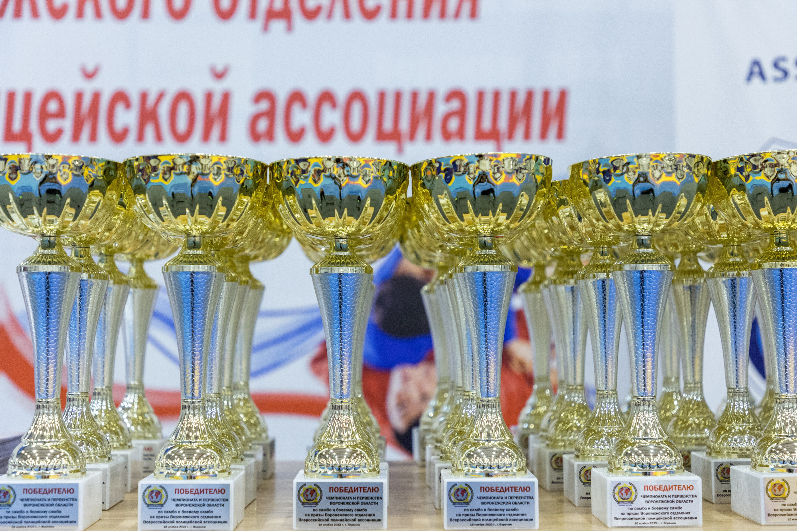 Чемпионат и Первенство по Самбо. Владислав Волков | Фотография и видеосъемка в Воронеже