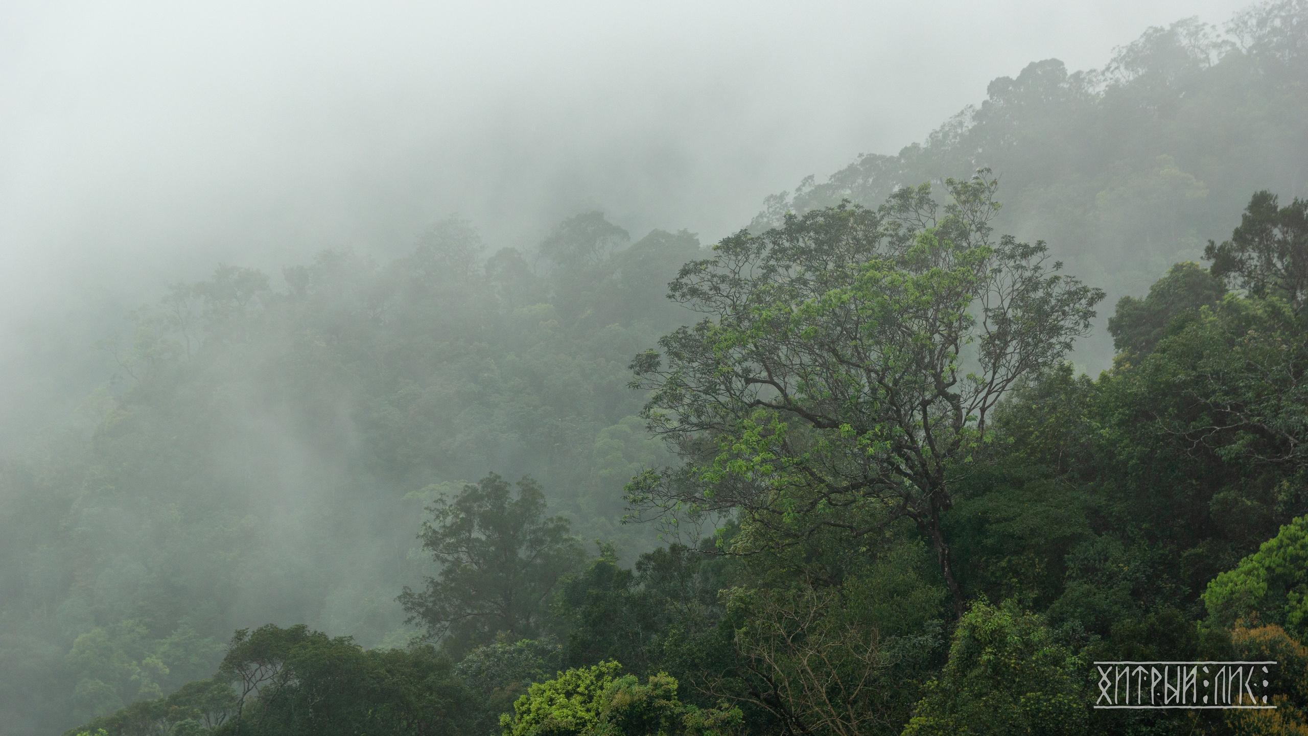 Вьетнам. Фотограф-путешественник Самойлов Максим «Sly Fox»