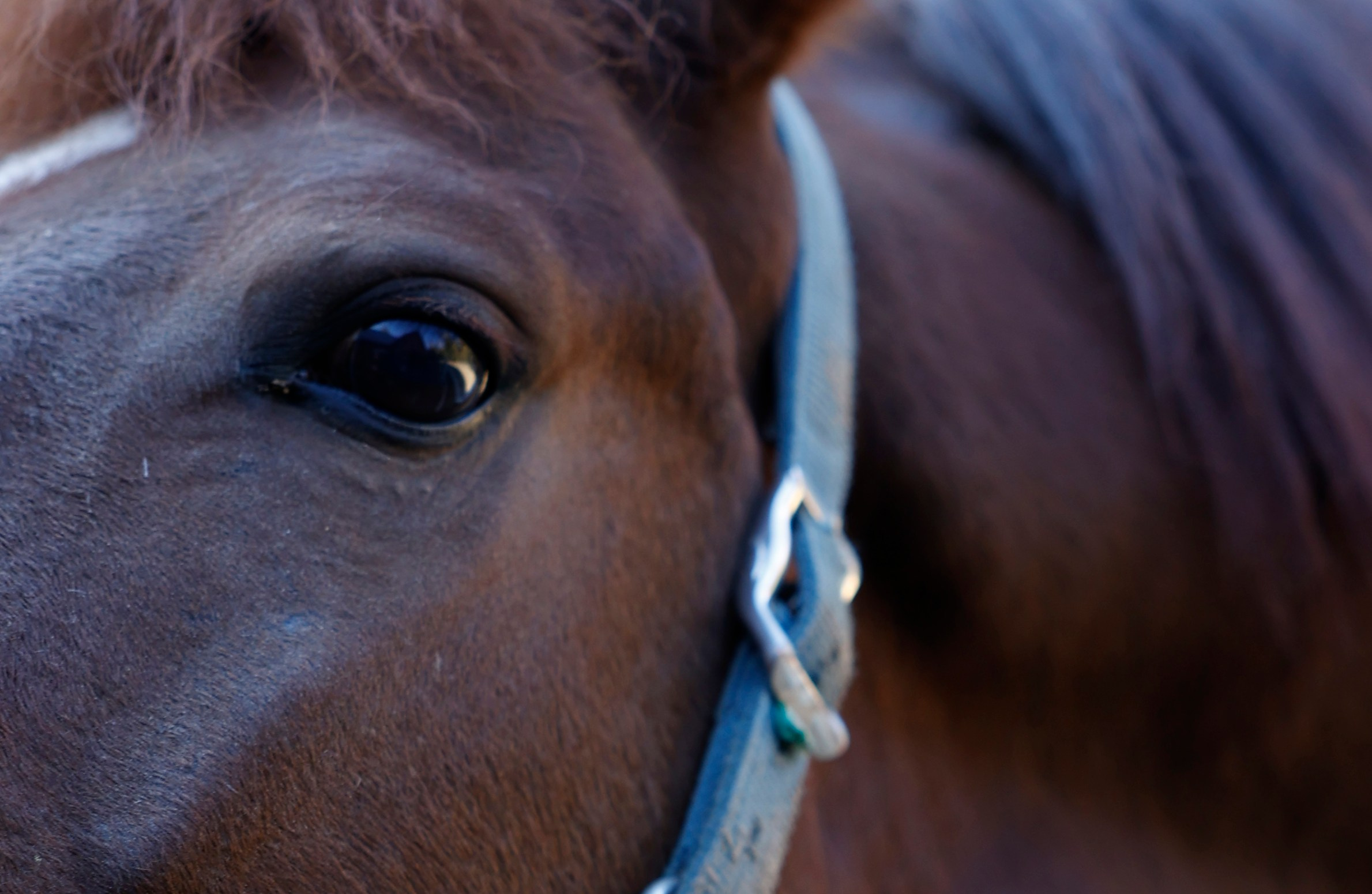 Elia. ITMAG.ME | Visual Art