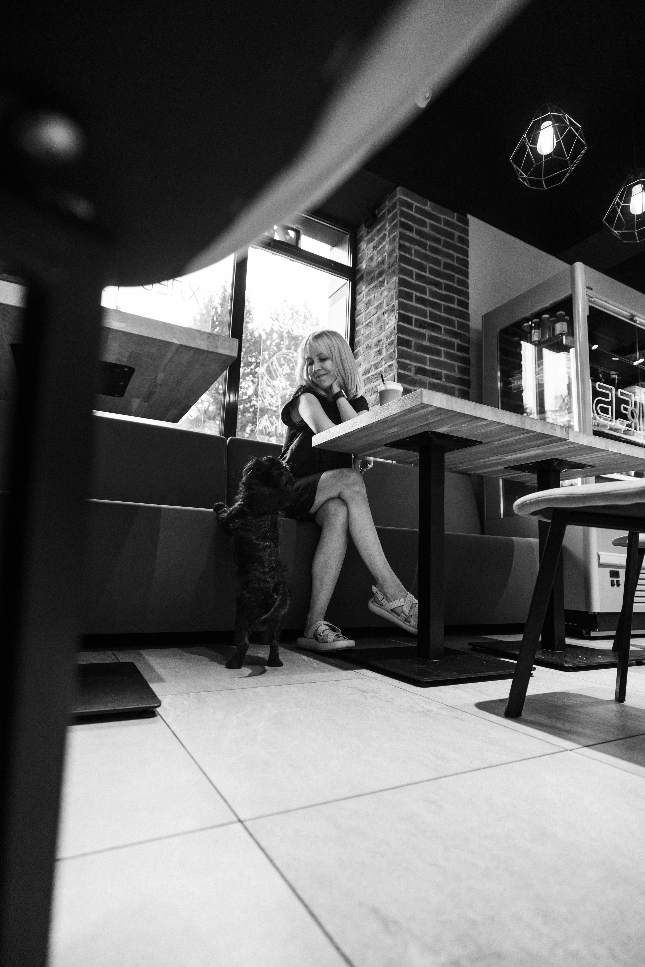 Ася и Кузя. Фотограф анималист Осипчикова Мария