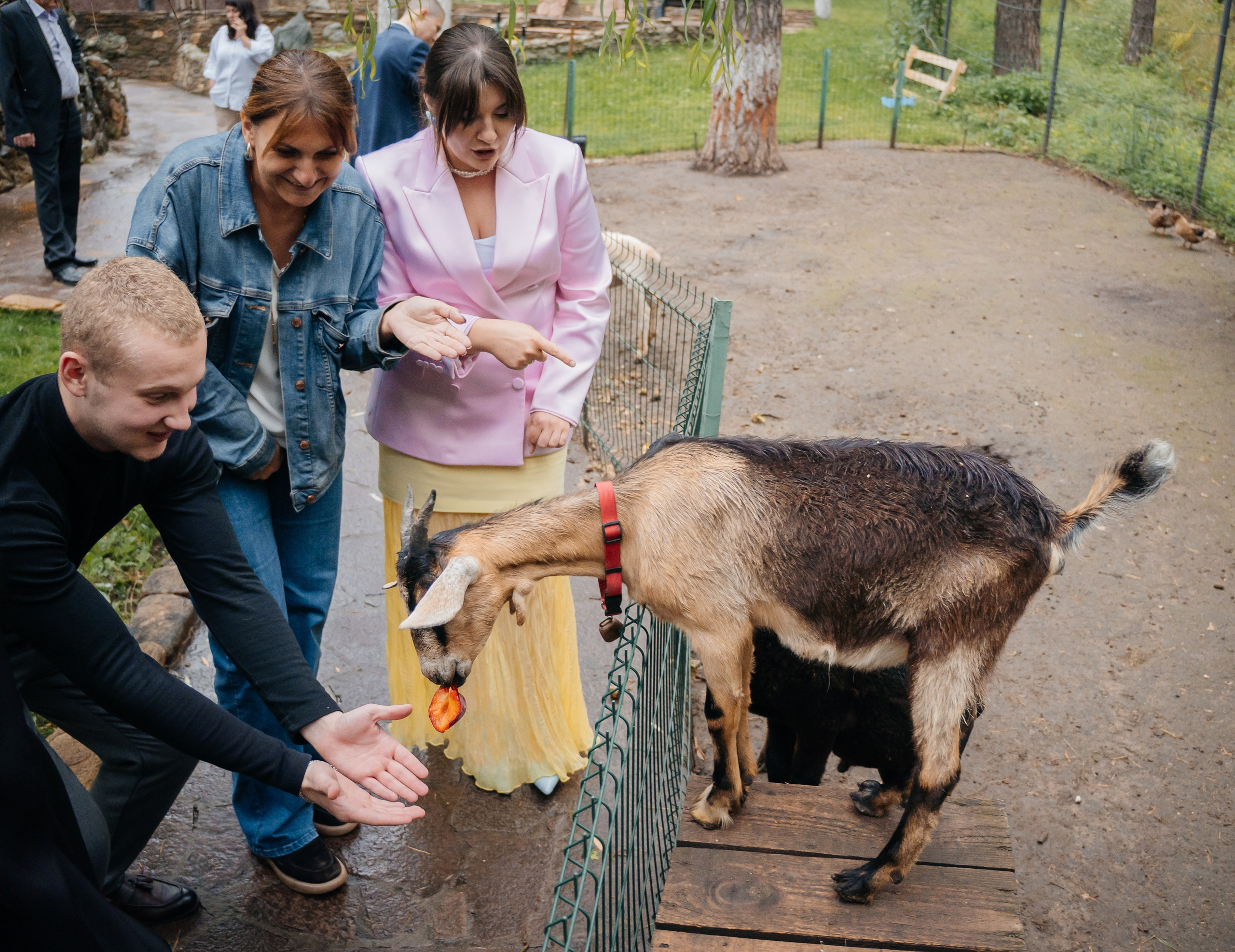 Школьные выпускные, линейки, банкеты. Семейный и LifeStyle фотограф в Жигулевске и Тольятти Рустам Ханмурзин
