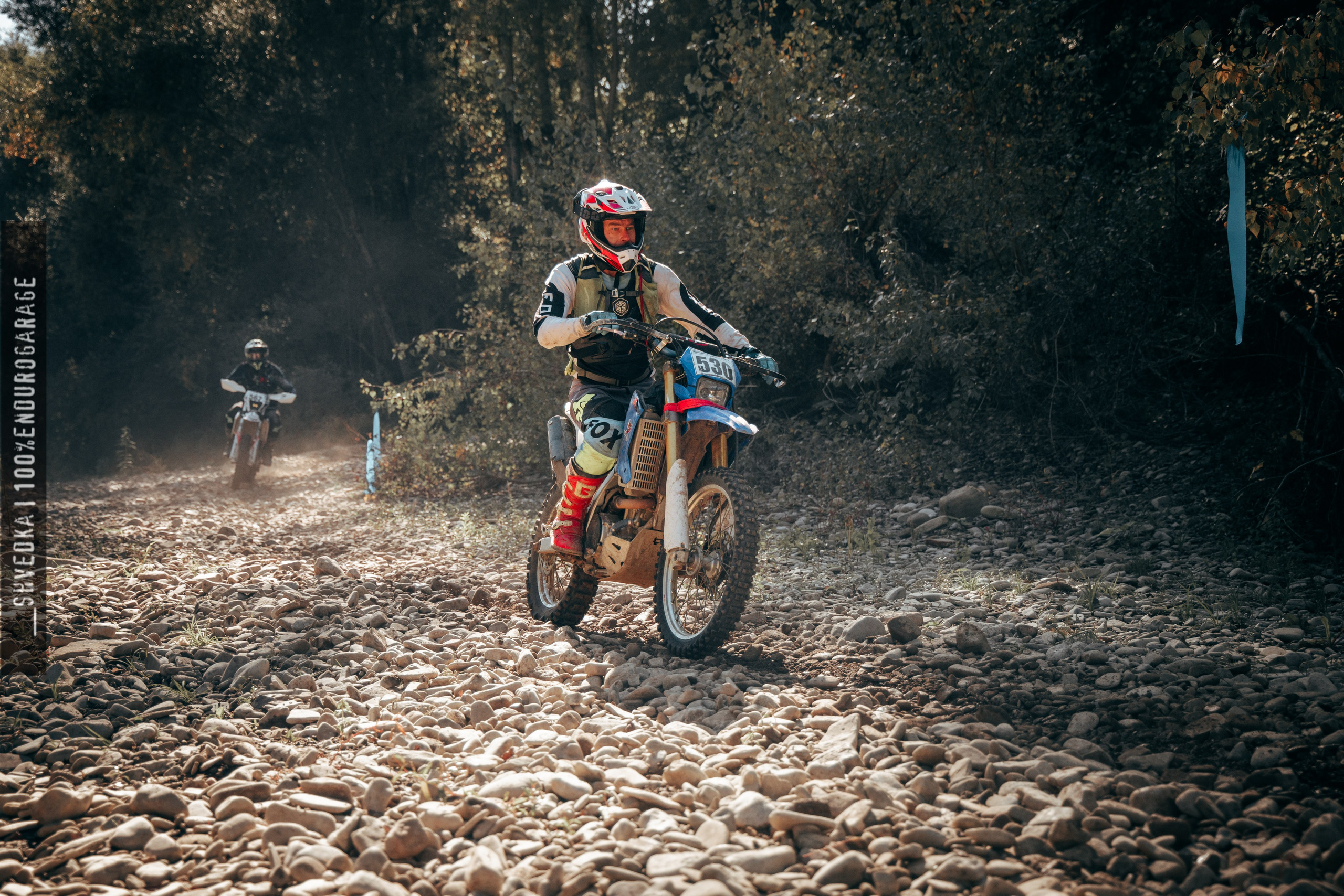 2 лесной день. Ваш экстрим фотограф Кудрева Яна