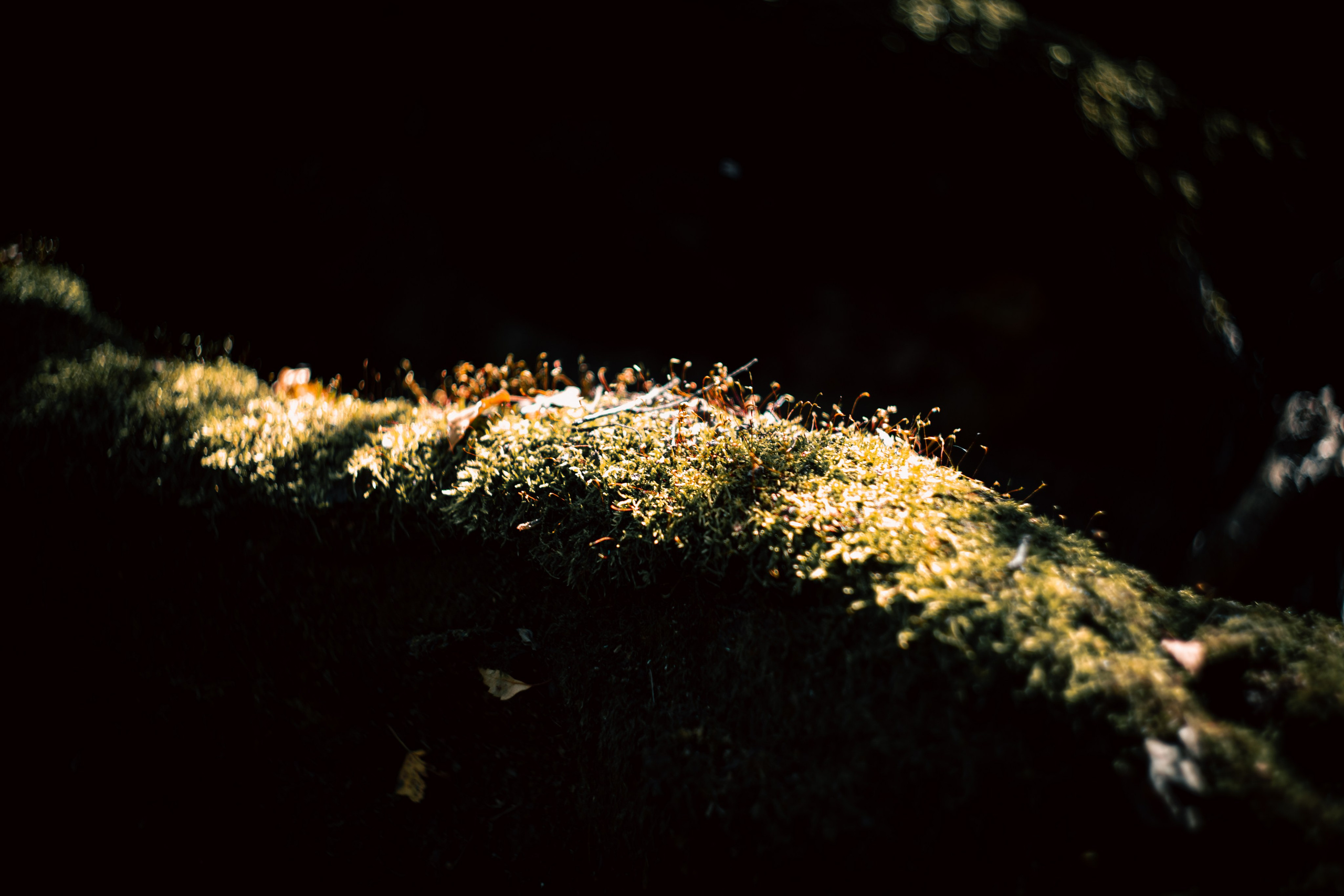 Сентябрь 2024. Efremovaphoto.ru