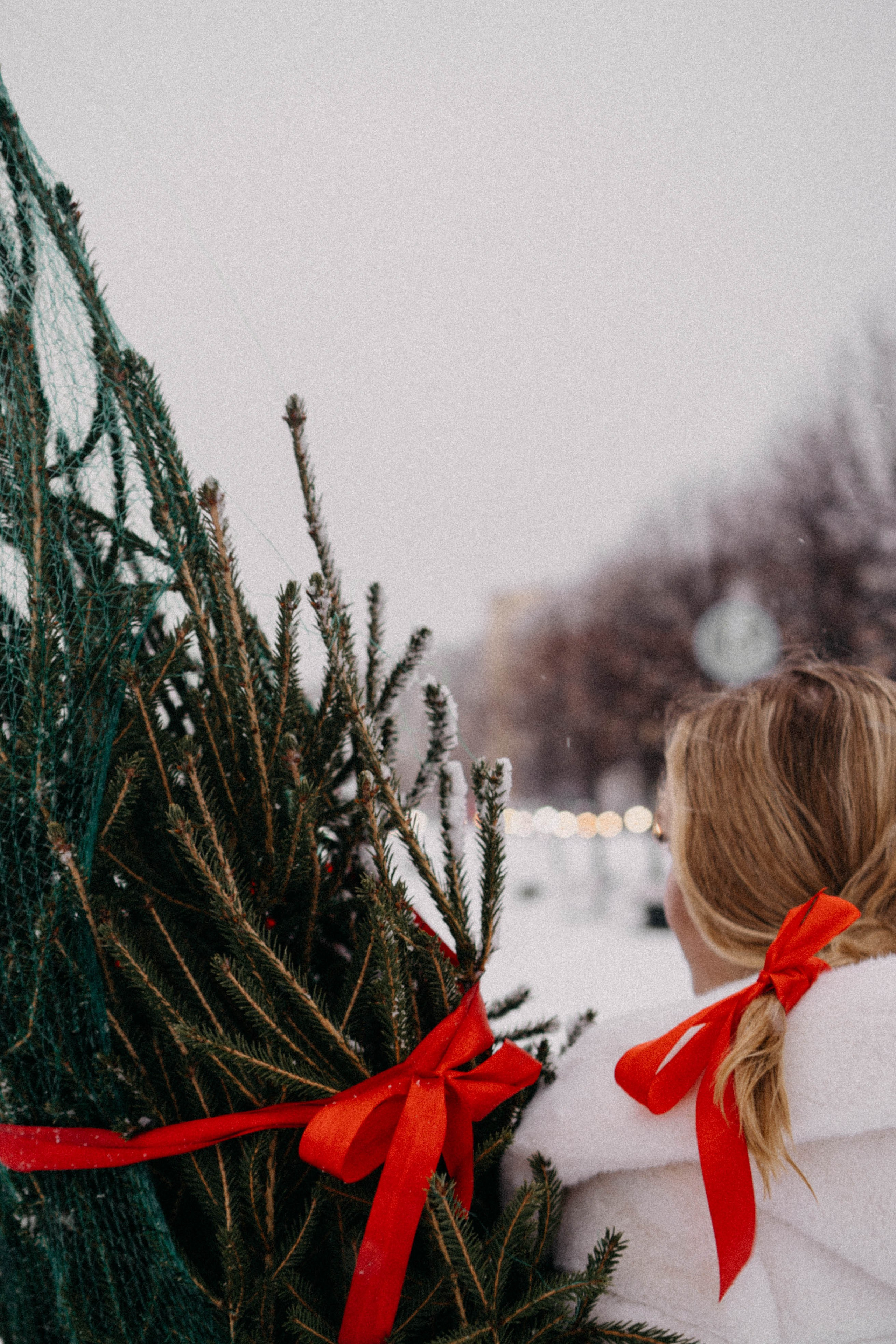 Новогодняя. Профессиональный фотограф, Санкт-Петербург — Виктория Богомолова