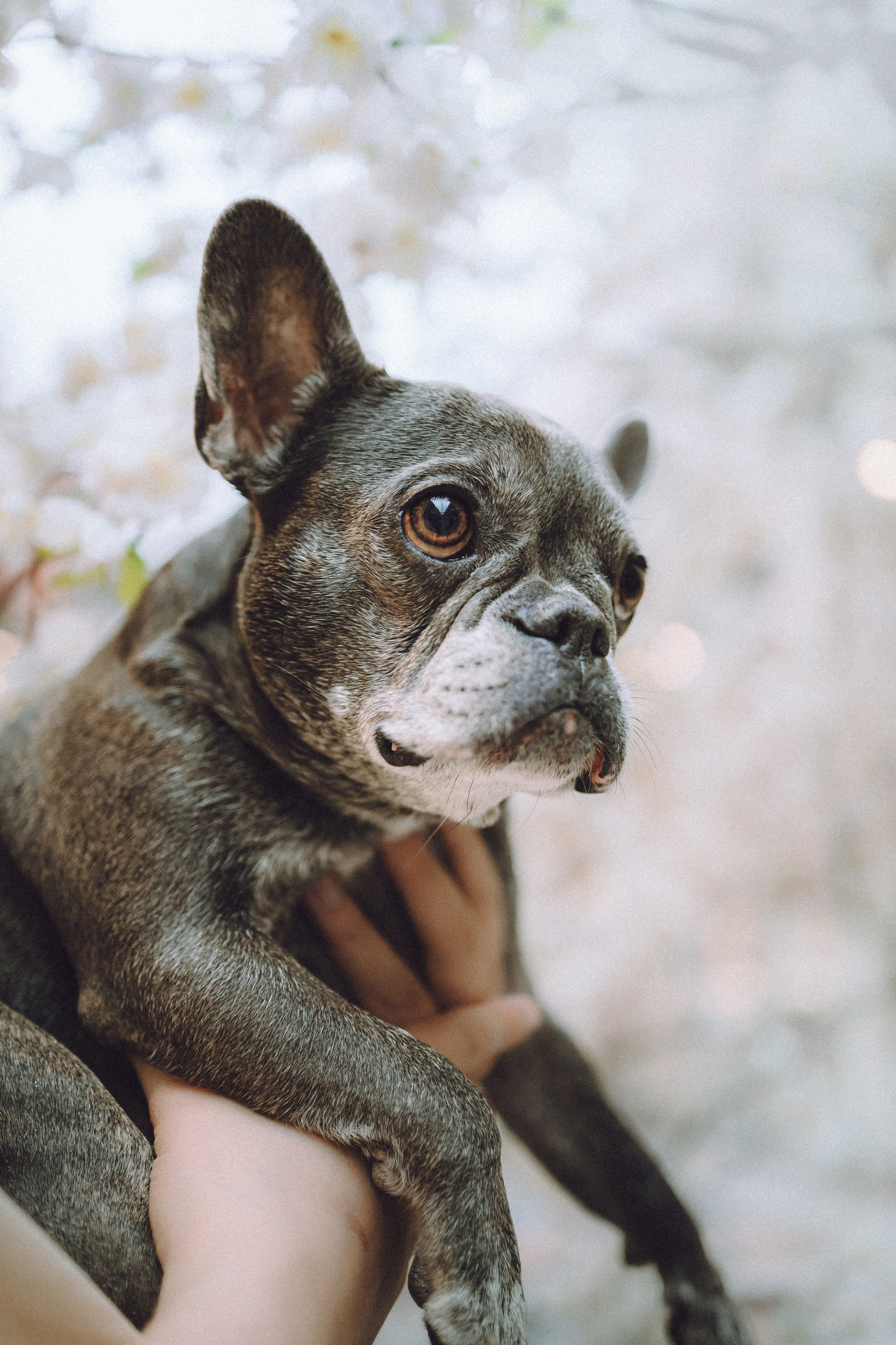 Юля, Вова и Моня