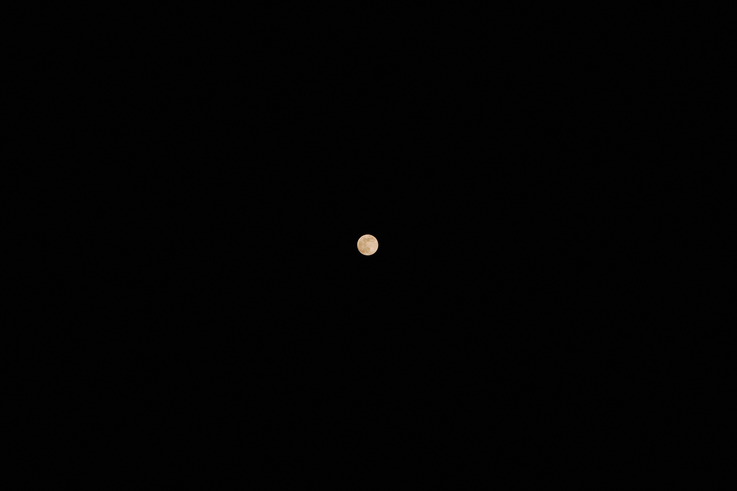 Другое 4. Jorgis — фотограф в Хургаде / обучение фотографии