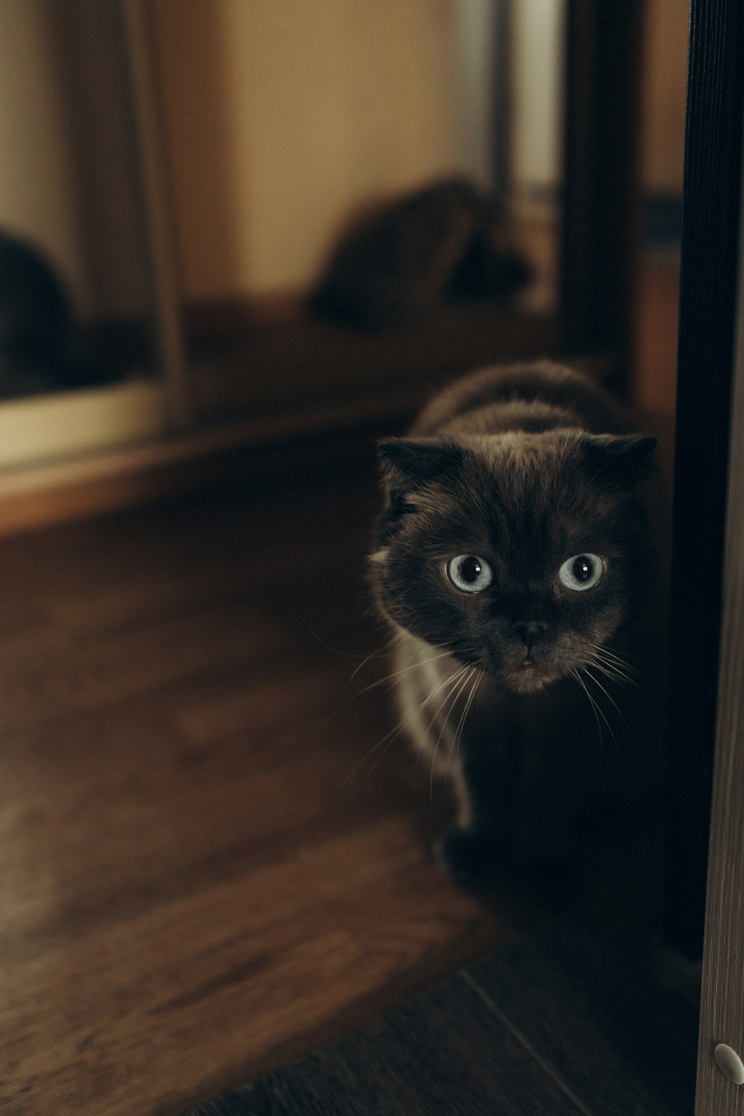 Таня и Амелия. Семейный фотограф и детский фотограф в Волгограде Алеся Бутакова — дет