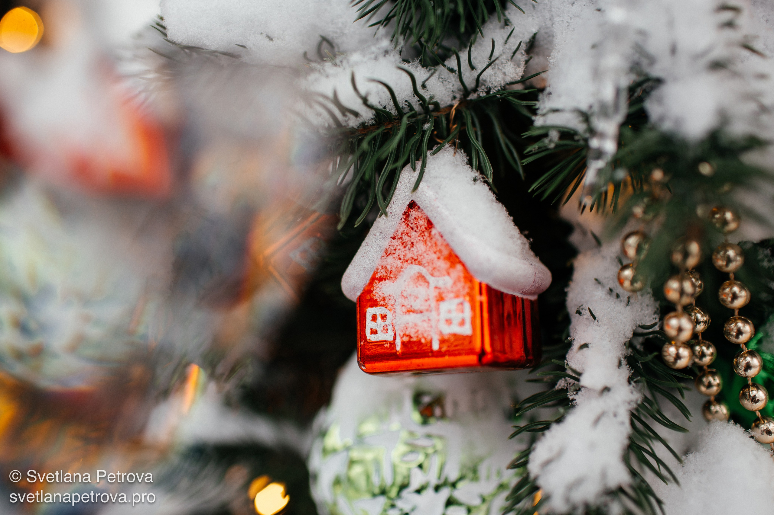 Новогодние Локации 1 января 2026. Фотограф Светлана Петрова