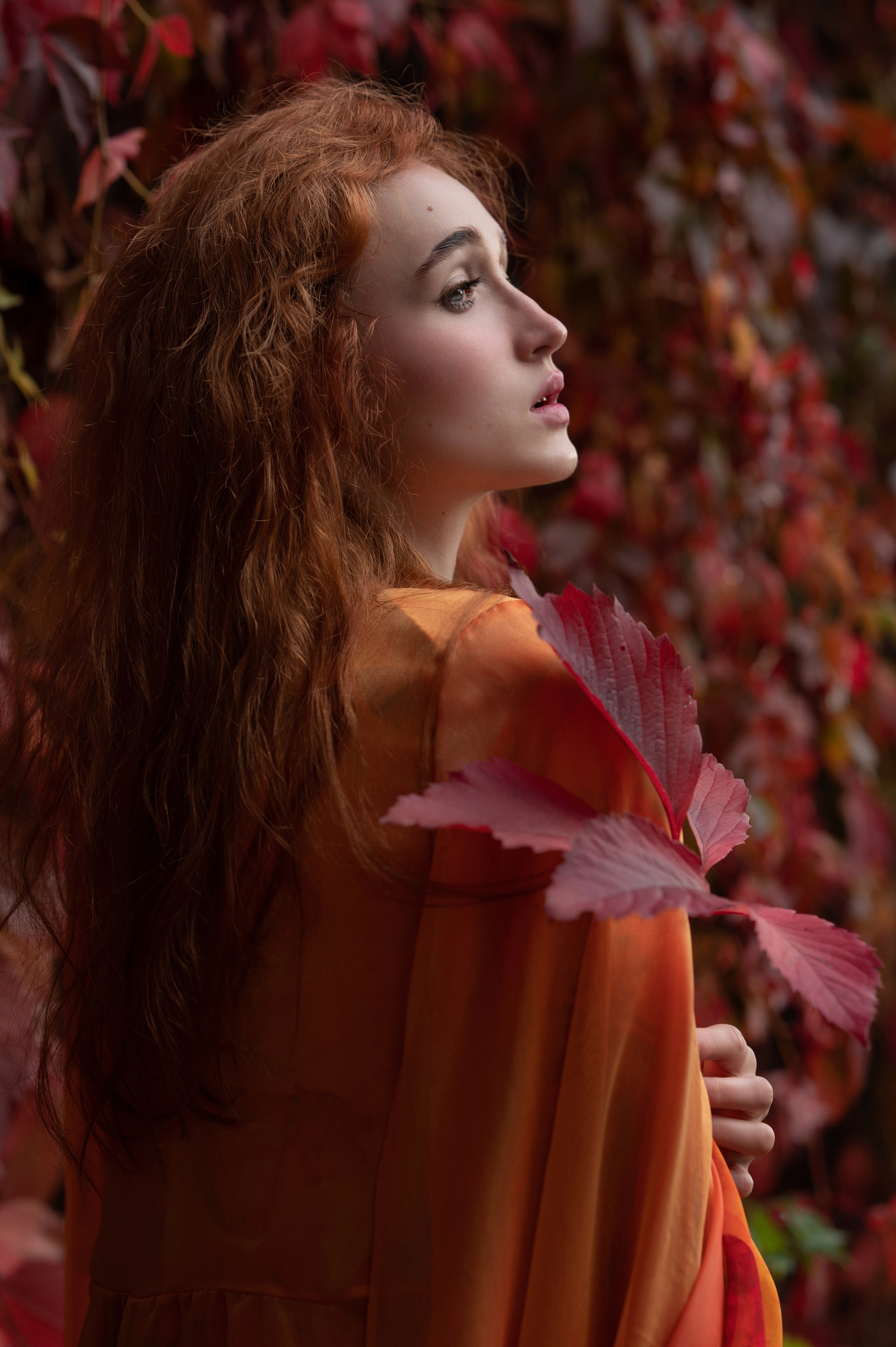 Осень. Коммерческий фотограф Москва /Дубай, эксклюзивные фэшн фотосессии