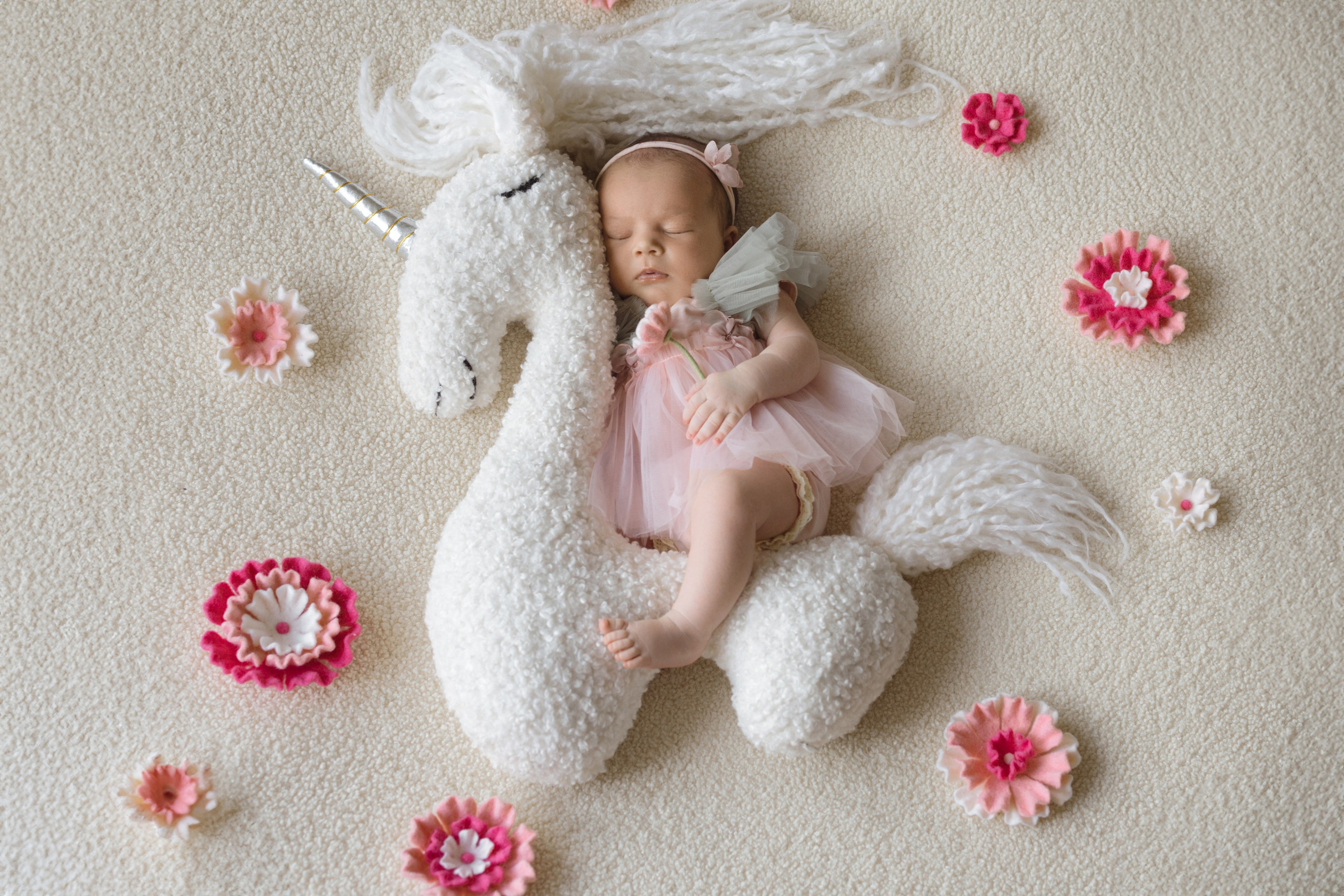 Корзинки и мягкие игрушки для фотосессии новорожденных фотограф Вета Ленская. Фотограф беременности и новорожденных в Красноярске Вета Ланская