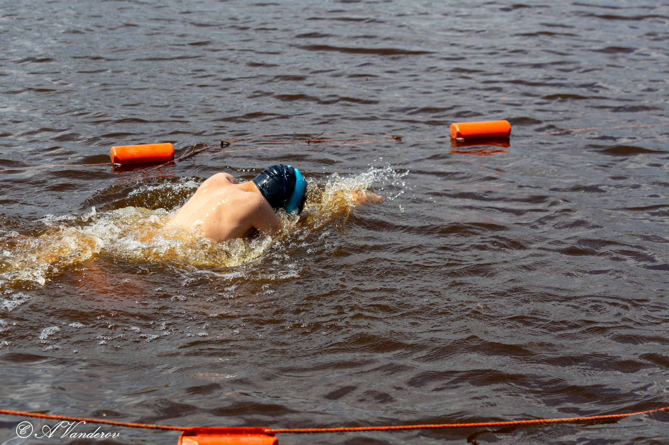 Заплыв 02.06.2024. Фотограф Омск | Александр Вандеров