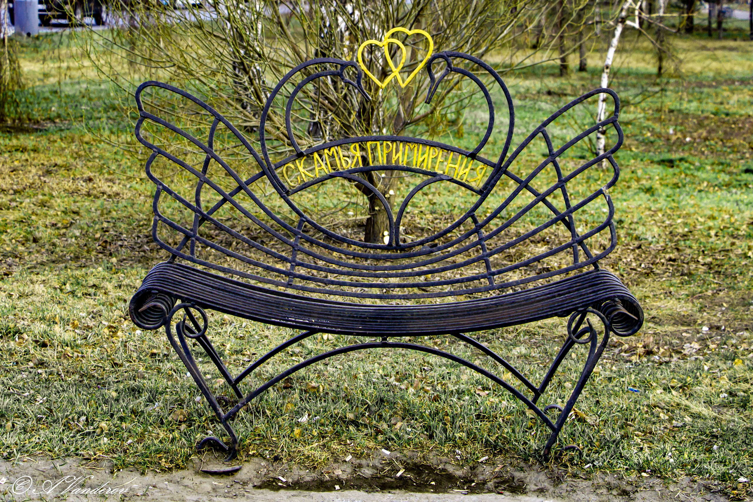 Омск 2023. Фотограф Омск | Александр Вандеров