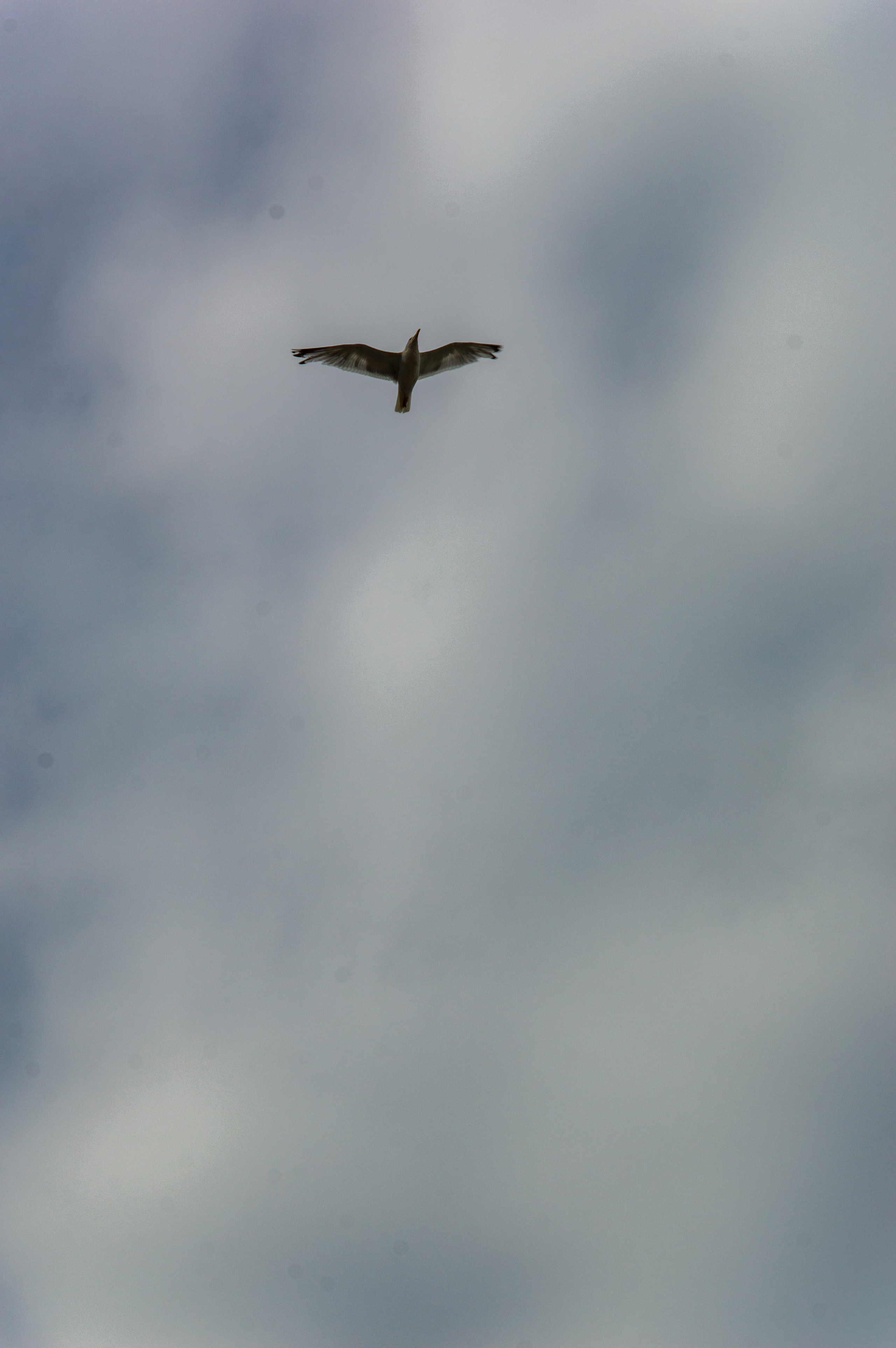 Стрит. Фотограф Мариам Воробьева