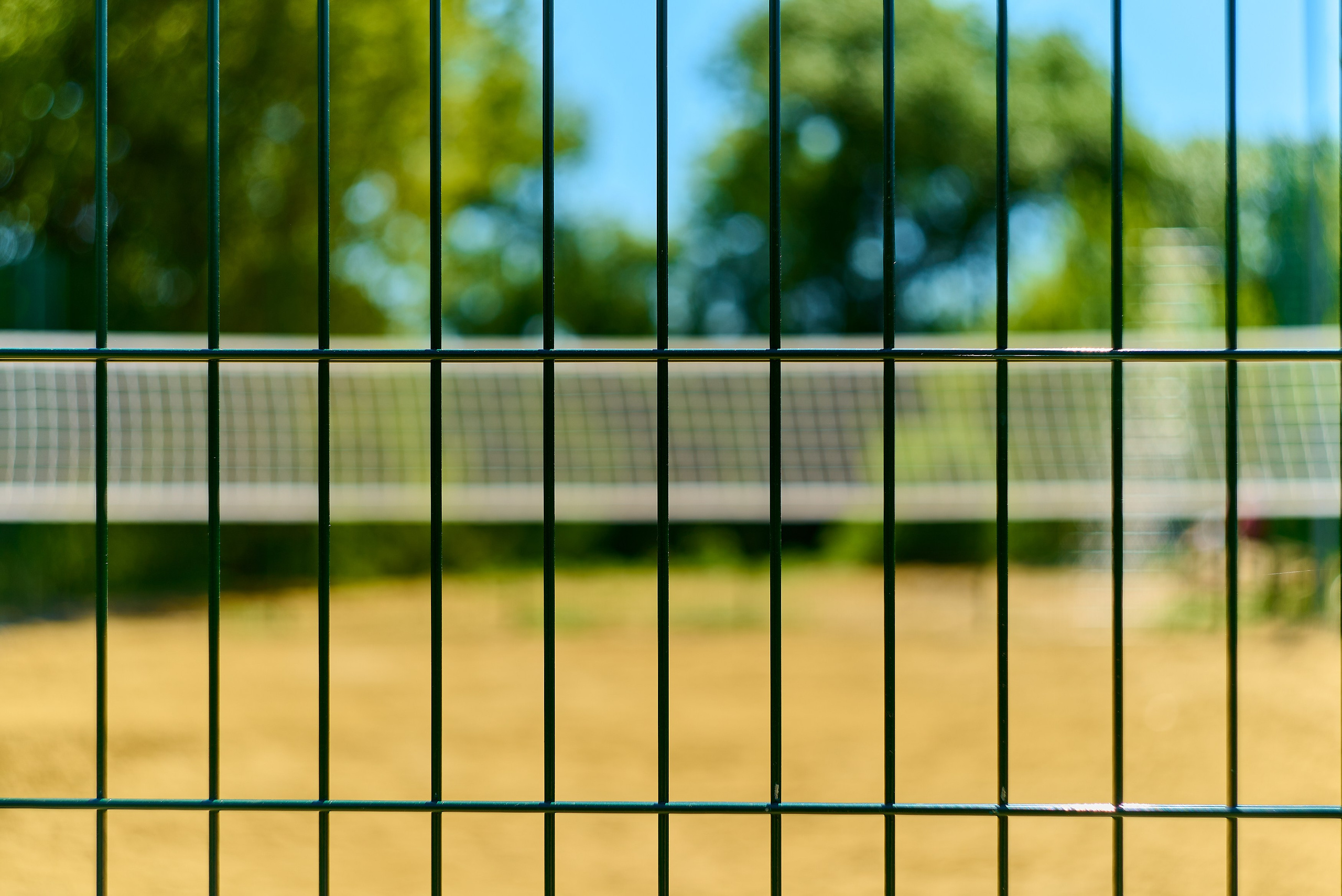 Nikon D850+Helios 44-2 2/58