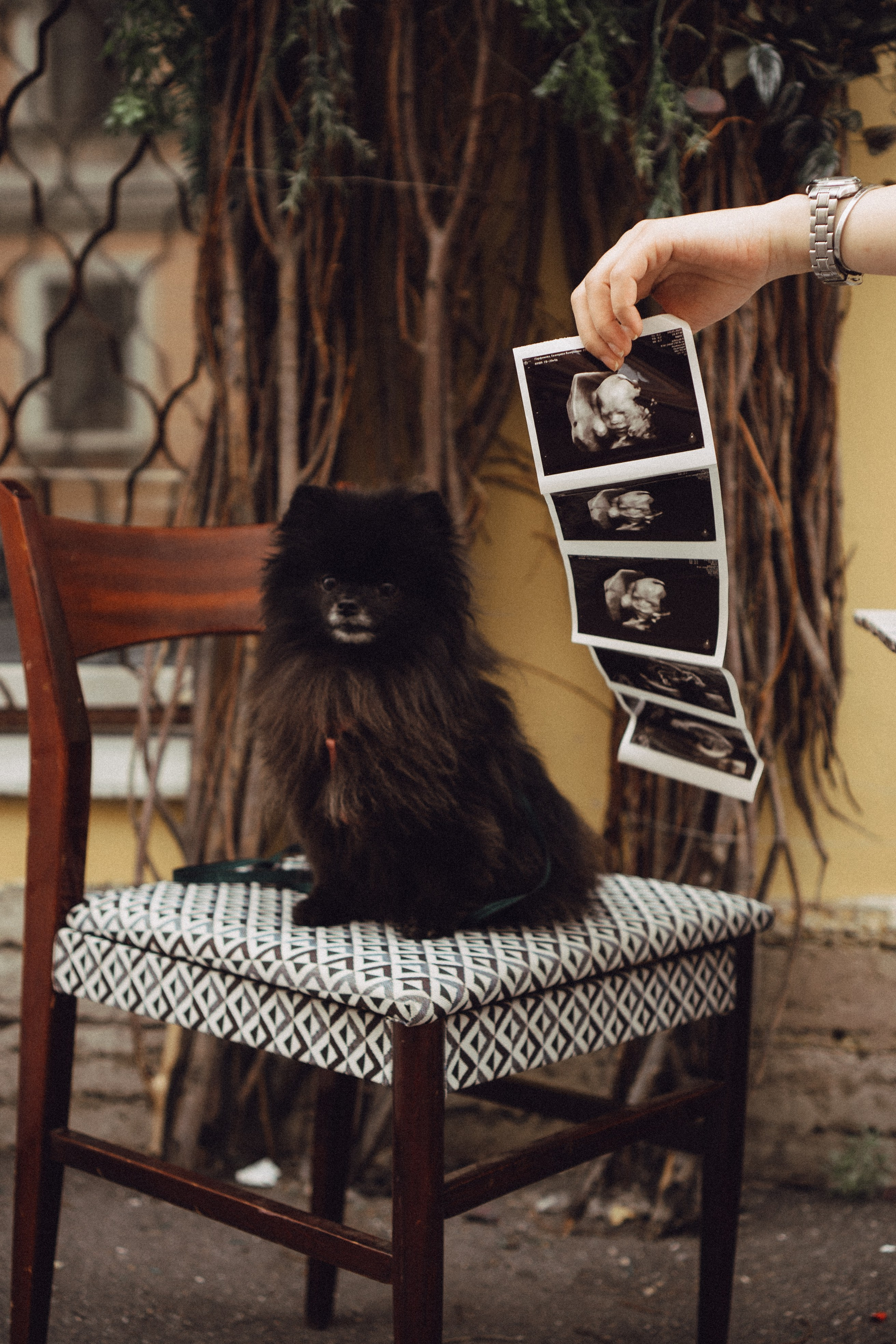 Беременность (только часть фото по желанию клиентов могу показать)). Профессиональный фотограф, Санкт-Петербург — Виктория Богомолова