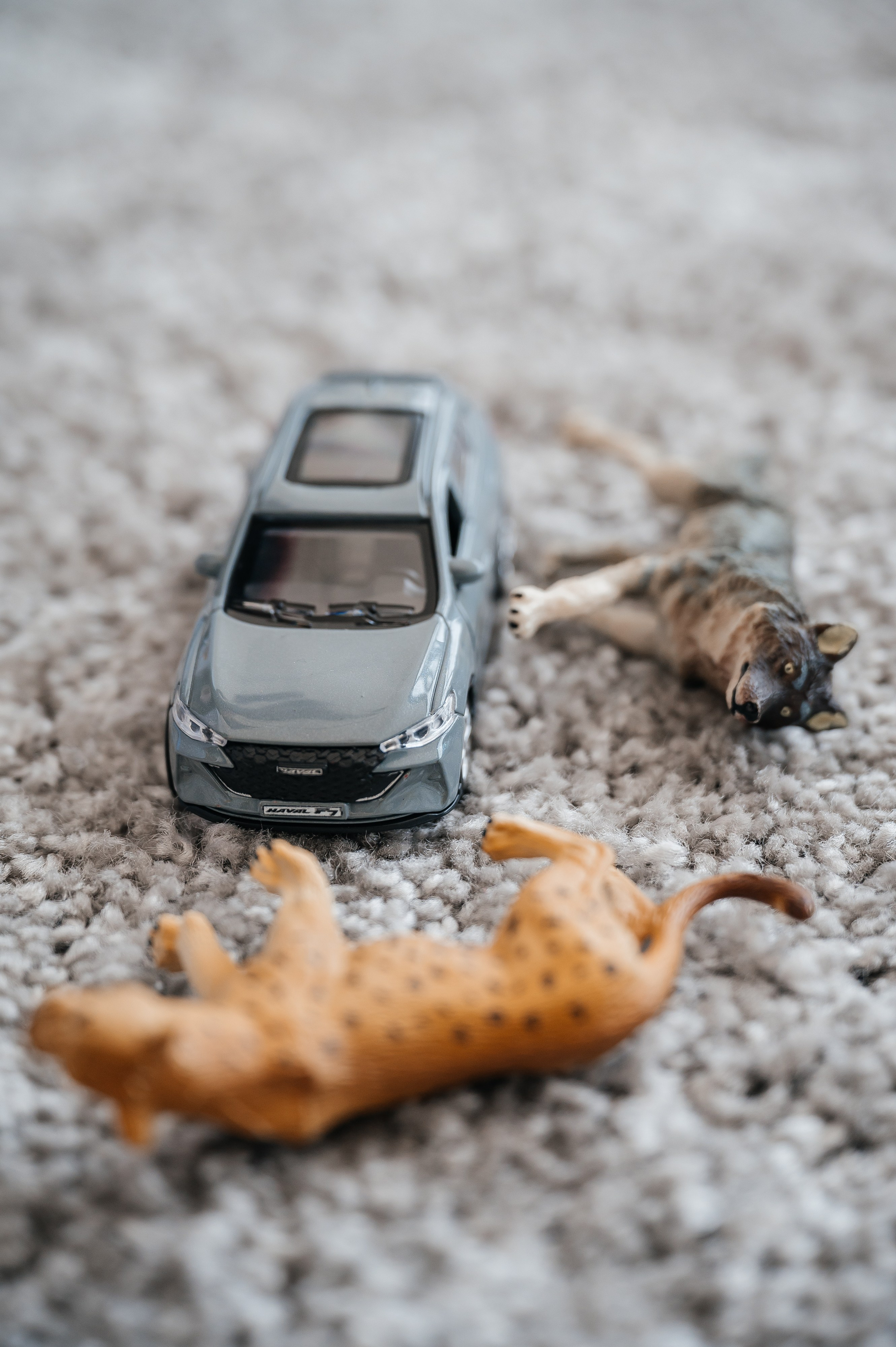 Haval Road Show. SARKISOPH | Фотограф Волгоград