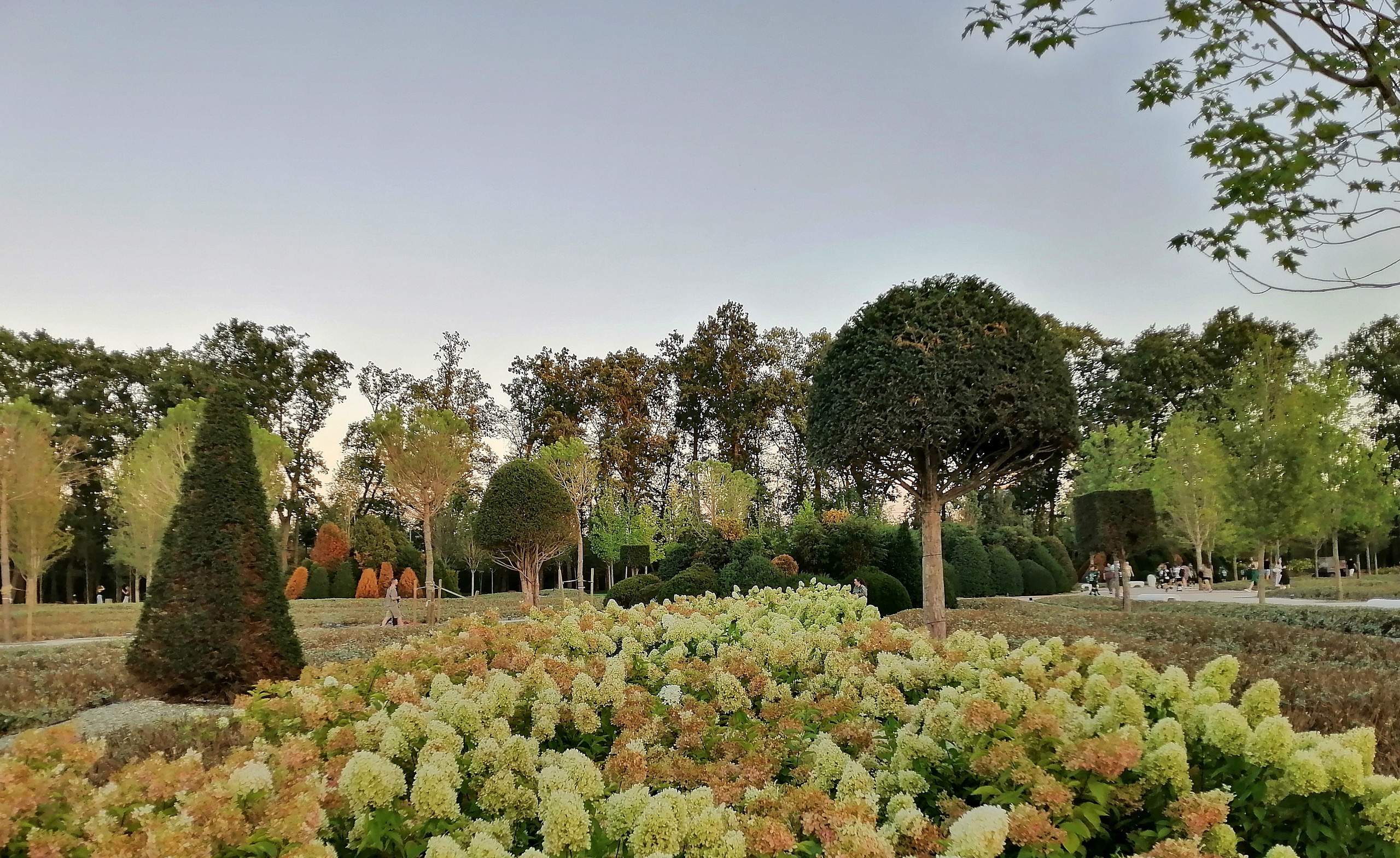Парк Краснодар (парк Галицкого). Фотограф Славянск на Кубани