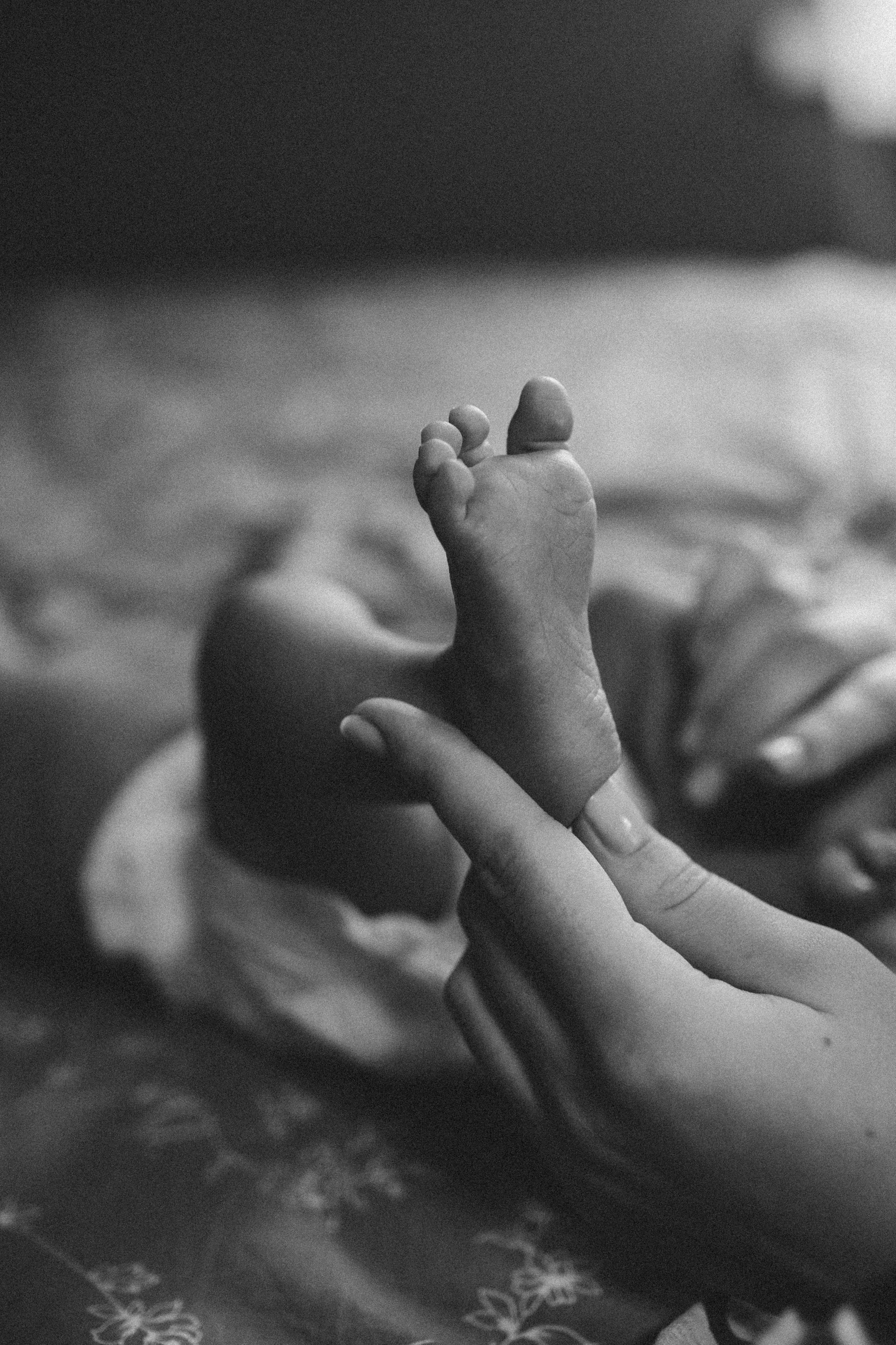 5. Семейный, детский, женский, свадебный фотограф в Ростове-на-Дону Васильчикова Юлия