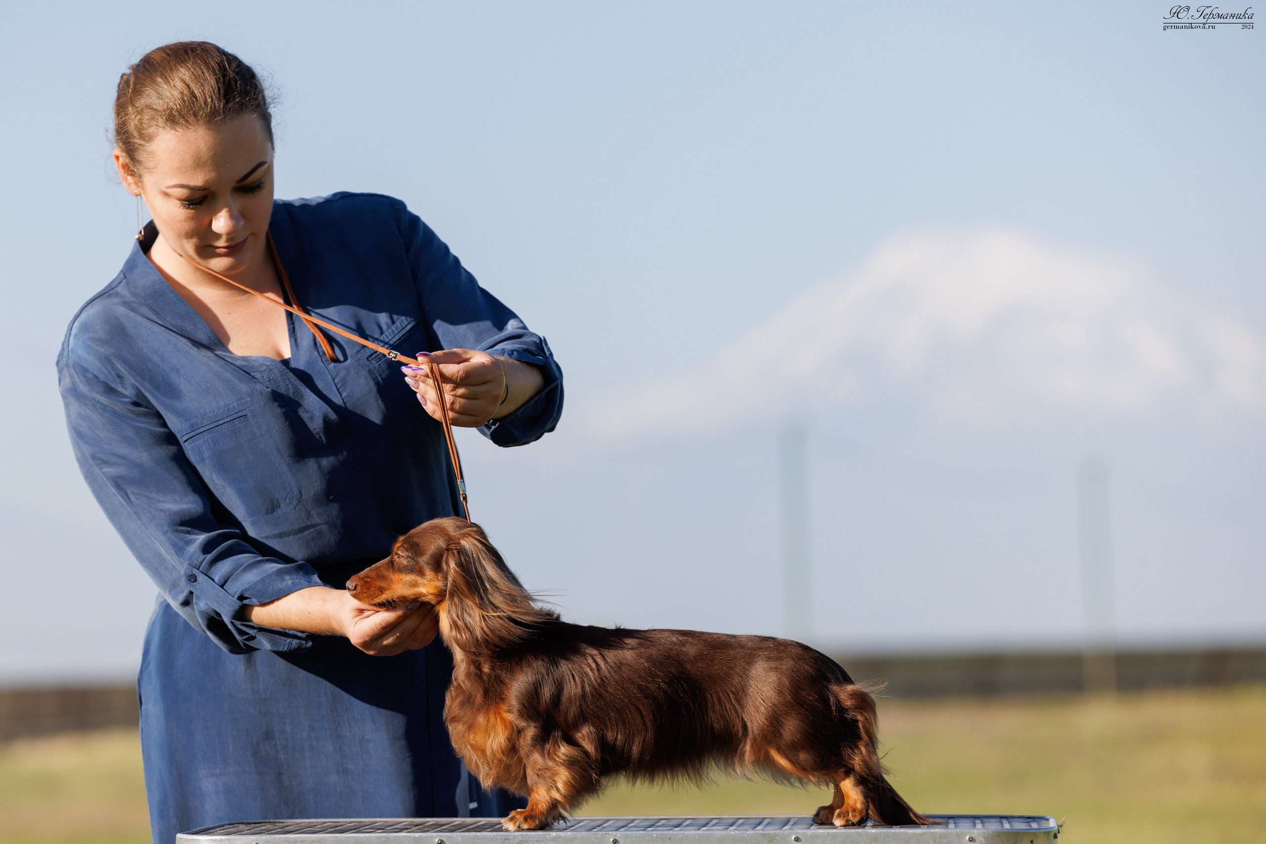 Ереван 3-5.06.2024. Фотограф-анималист Юлия Германика