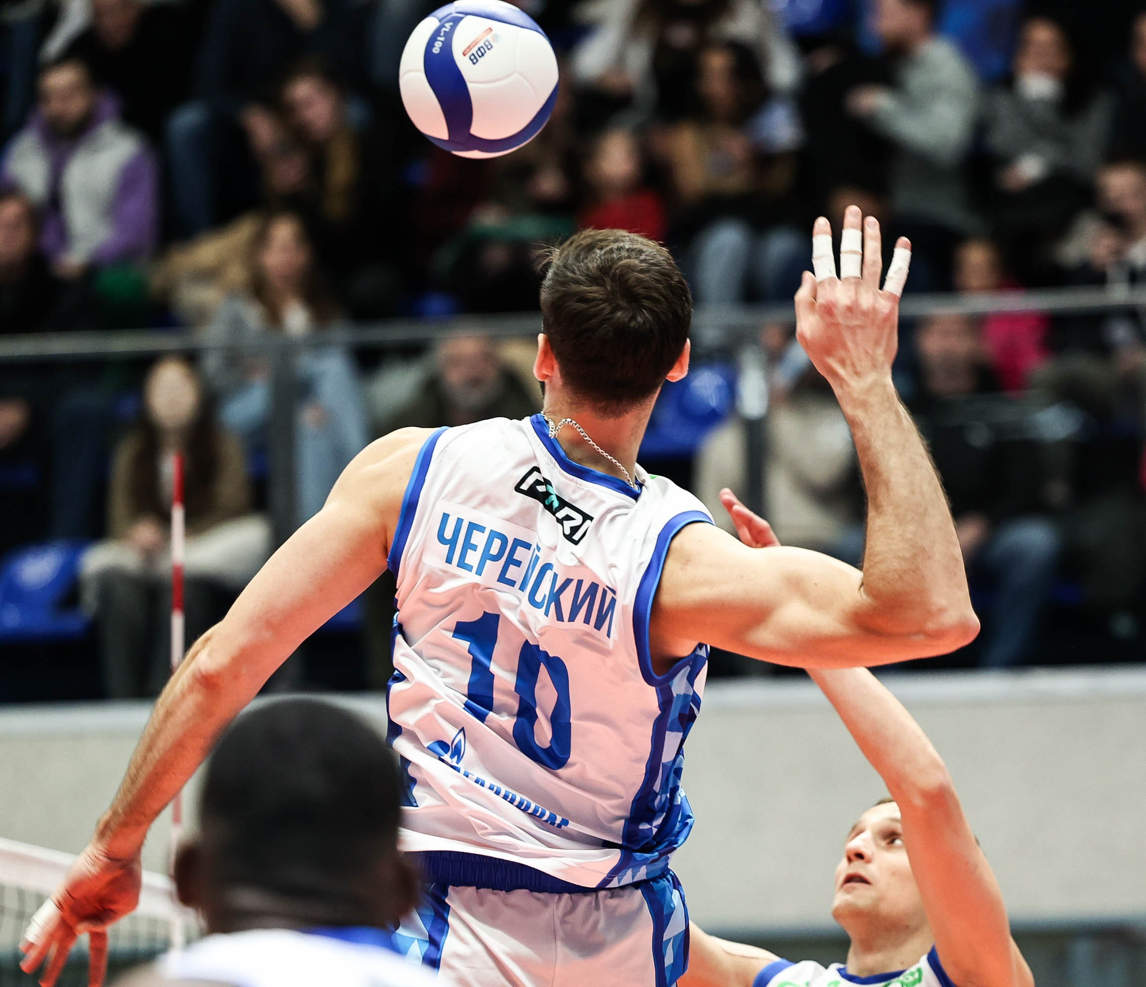 Волейбольный клуб «Зенит». Спортивный репортажный фотограф из Санкт-Петербурга Виктория Азарова