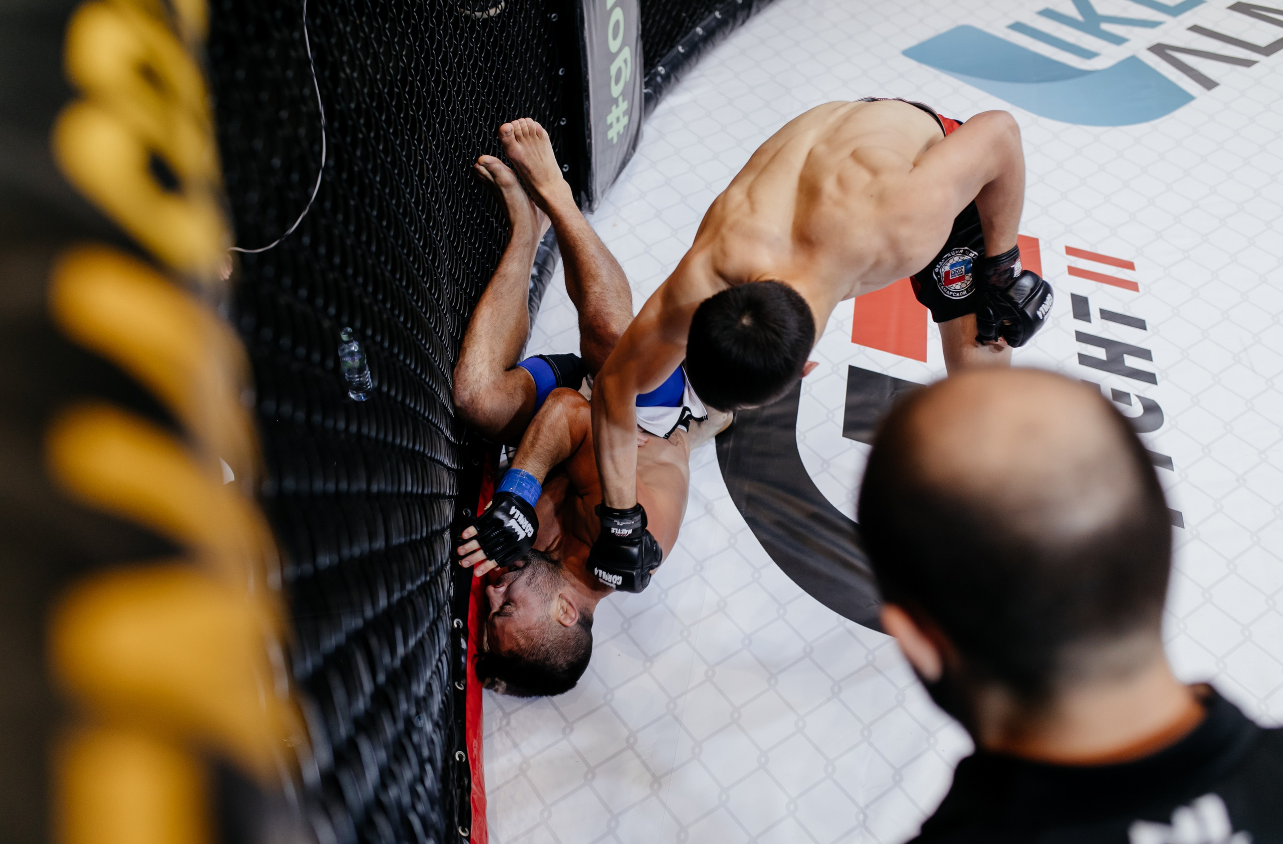 Gorilla Fighting Penza. Репортажный, event, концертный и backstage фотограф из Москвы Виталий Кривцов