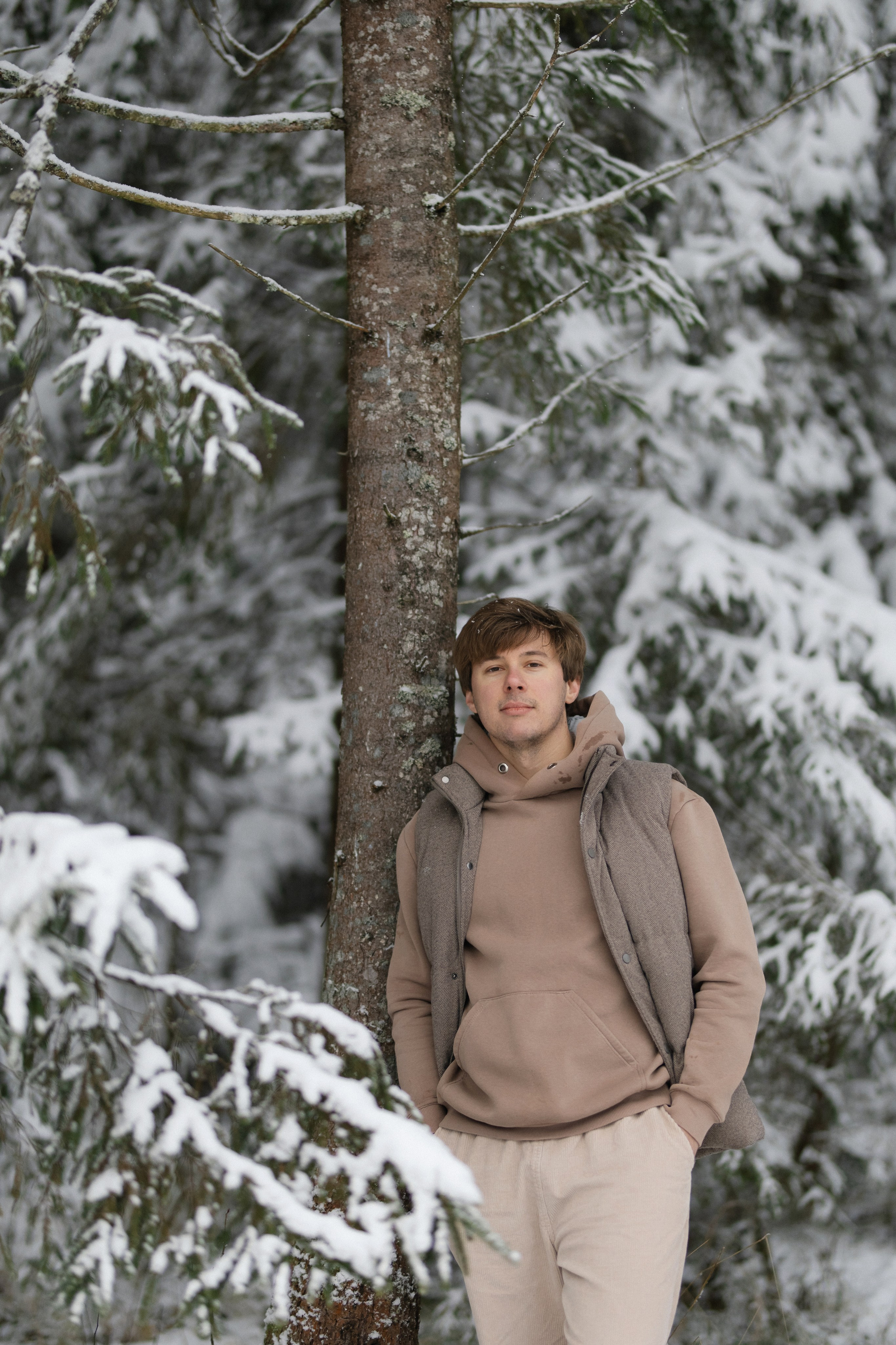 «ЗИМНИЙ ЛЕС». Maria Startseva Photo