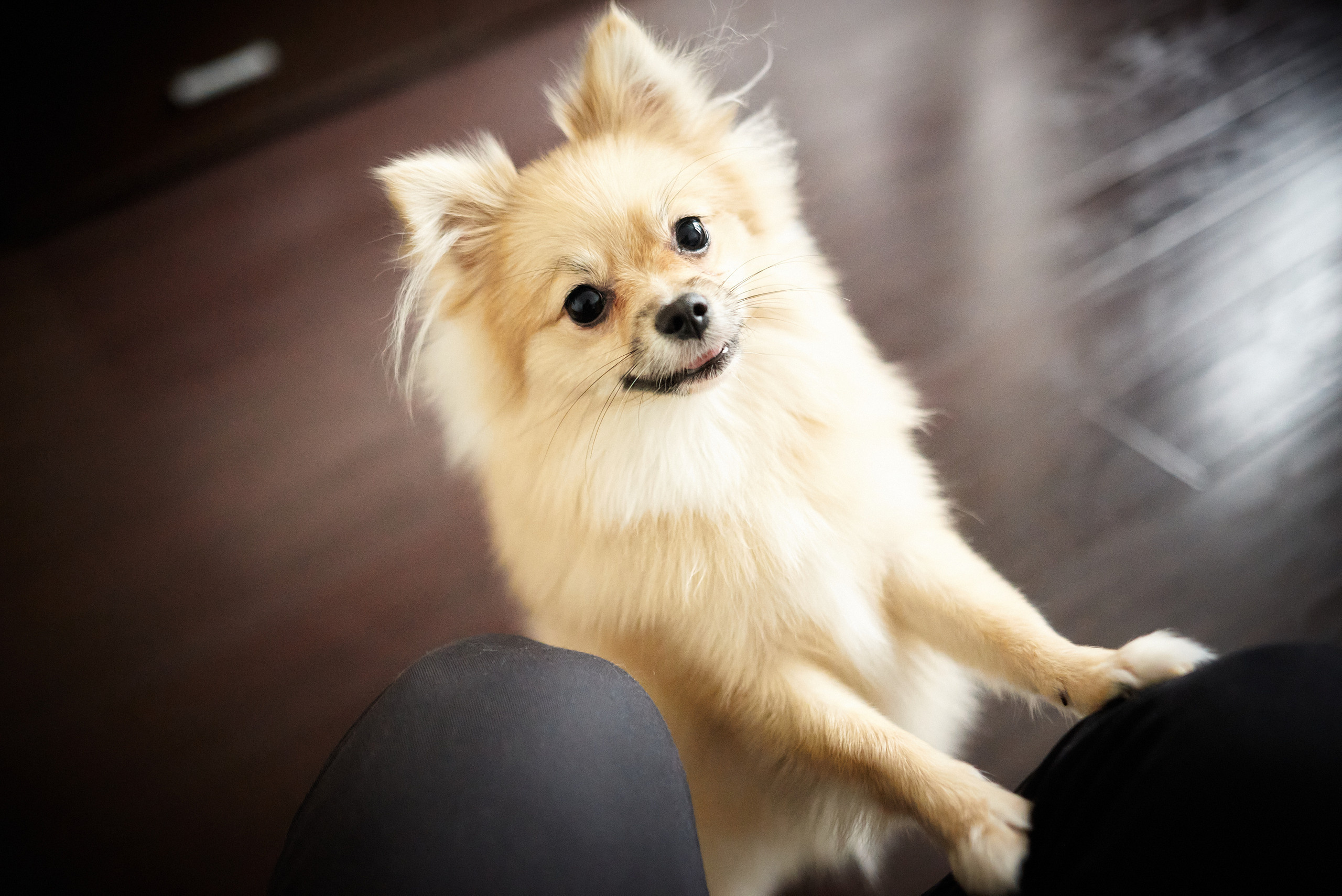 Отзывы клиентов о работе фотографа Артёма Савиных. Артём Савиных — профессиональный фотограф в Москве | Репортажи, свадьбы, портреты