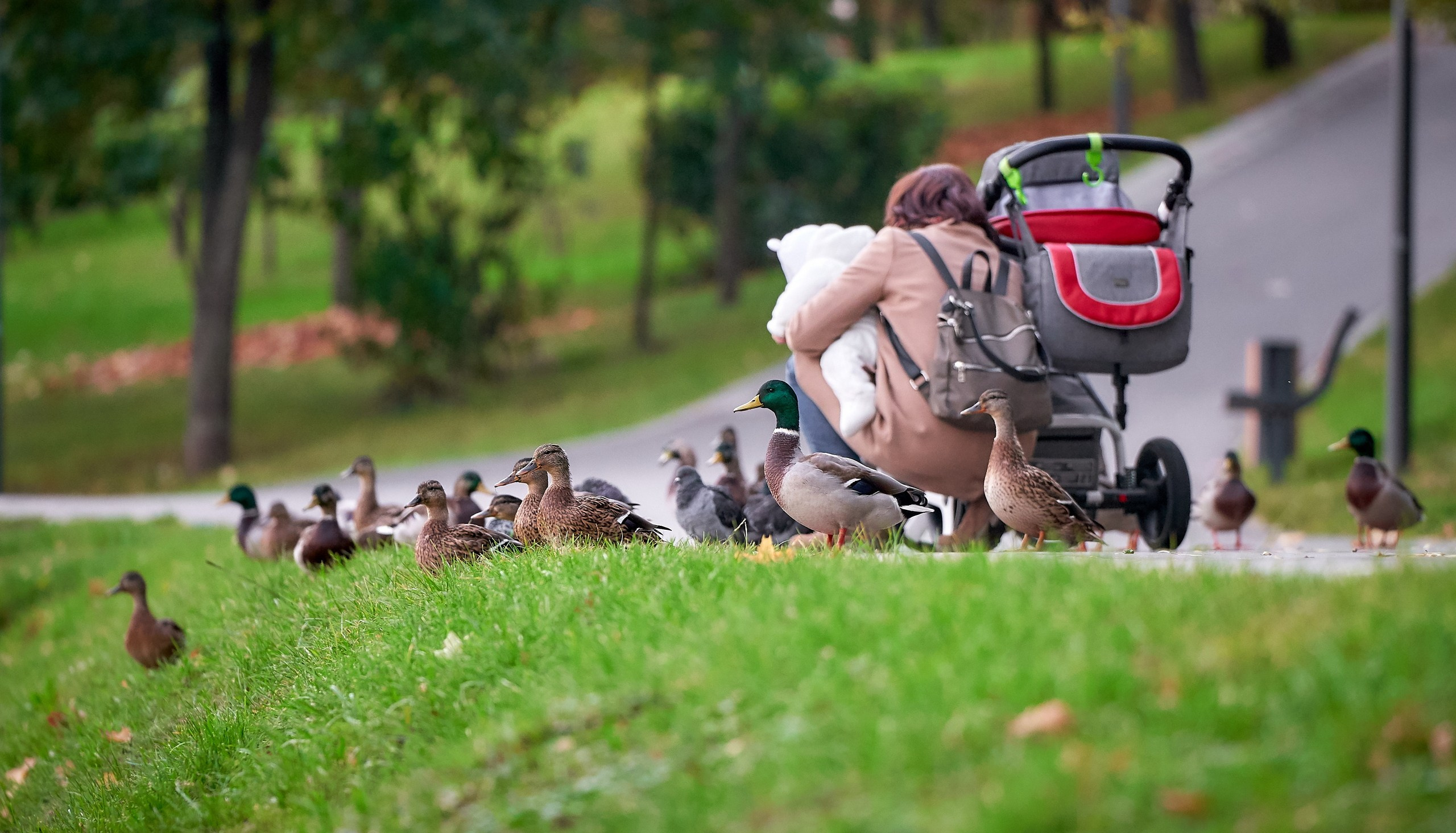 Стрит-фотография — галерея NATRIEL