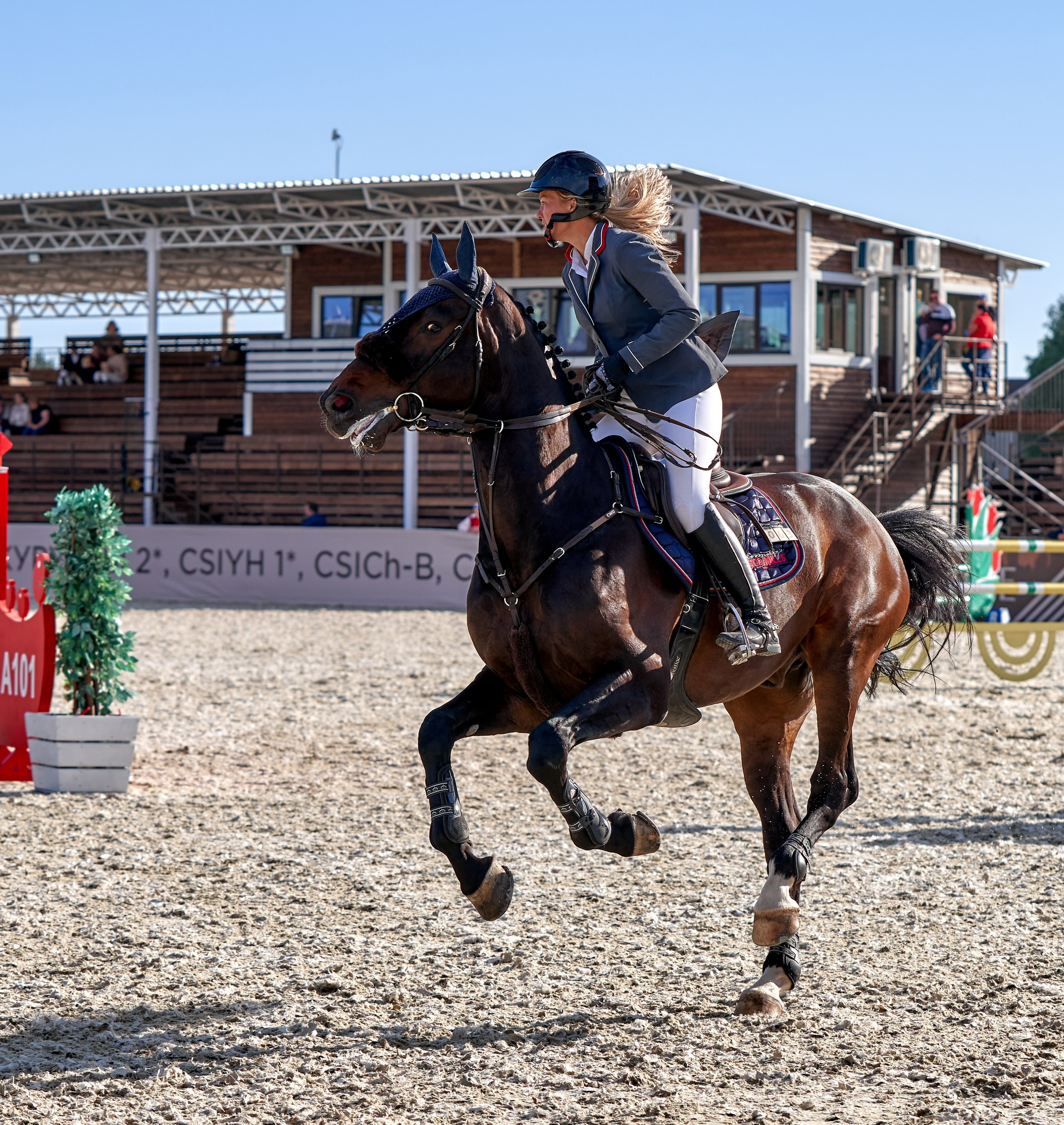 Соревнования на лошадях — галерея NATRIEL