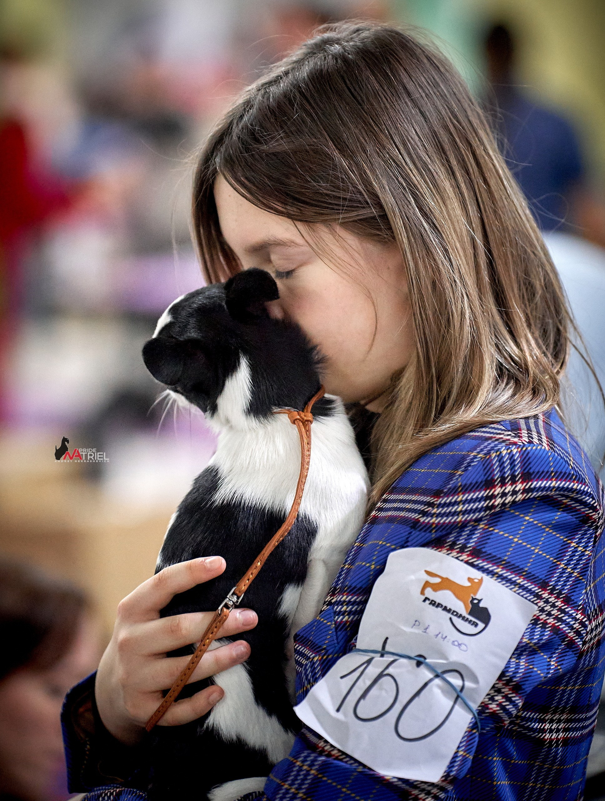 Собаки и Люди — галерея NATRIEL