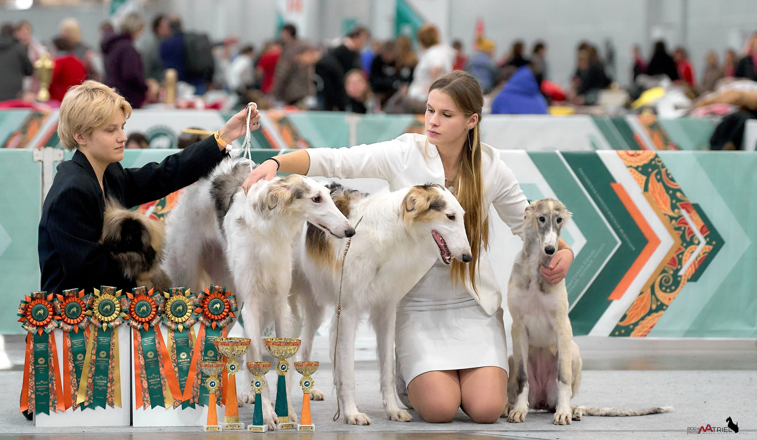 Съемка на выставке ЕВРАЗИЯ-2024