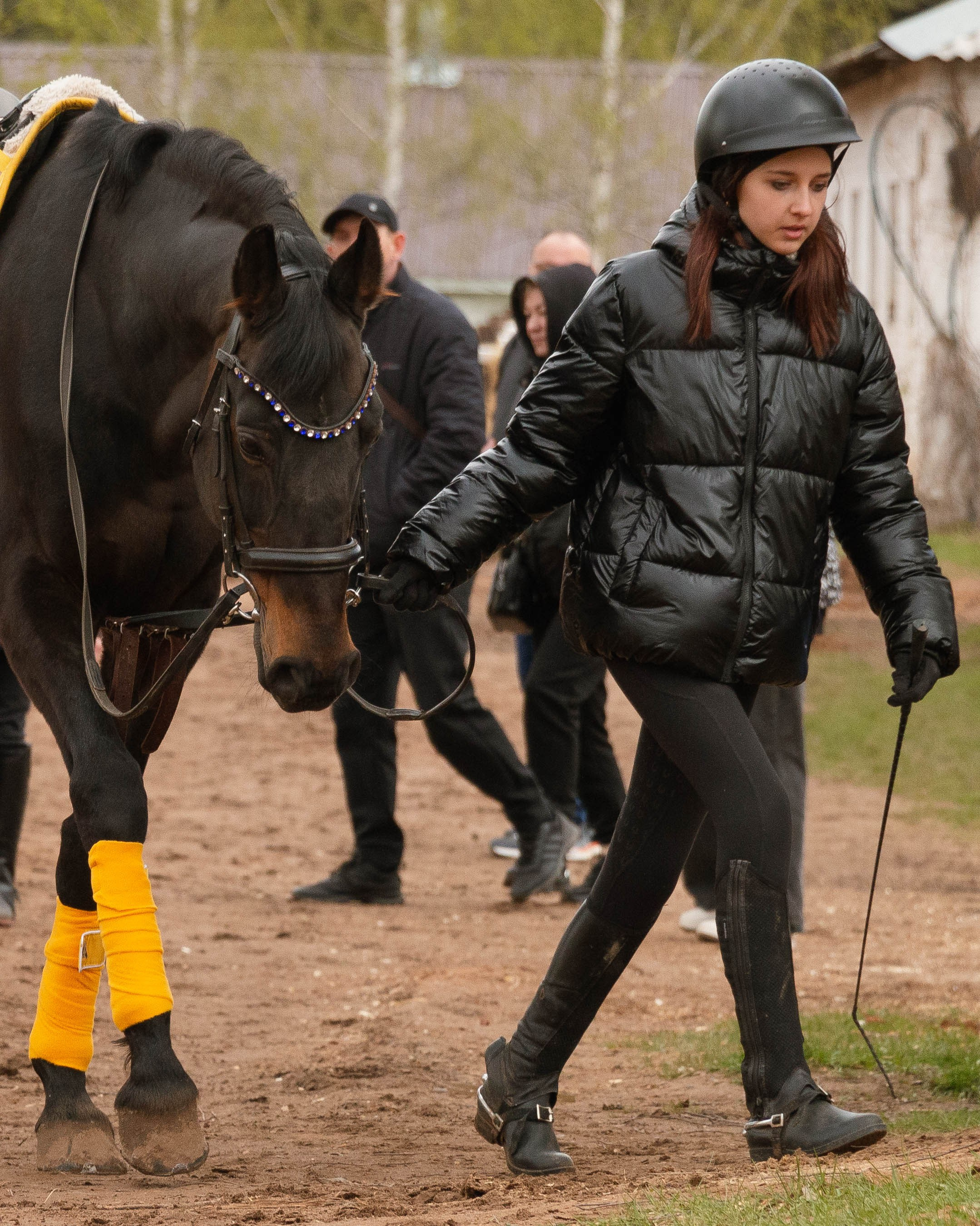 Девушка ведёт за собой лошадь