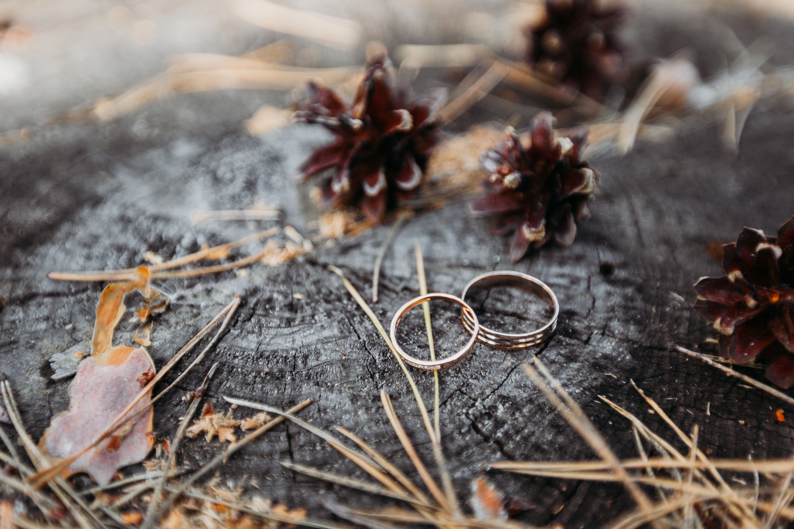 Свадебная фото и видео съёмка полного дня в Гомеле на усадьбе Качье. Свадебный семейный фотограф и видеограф Гомель Минск Беларусь Европа