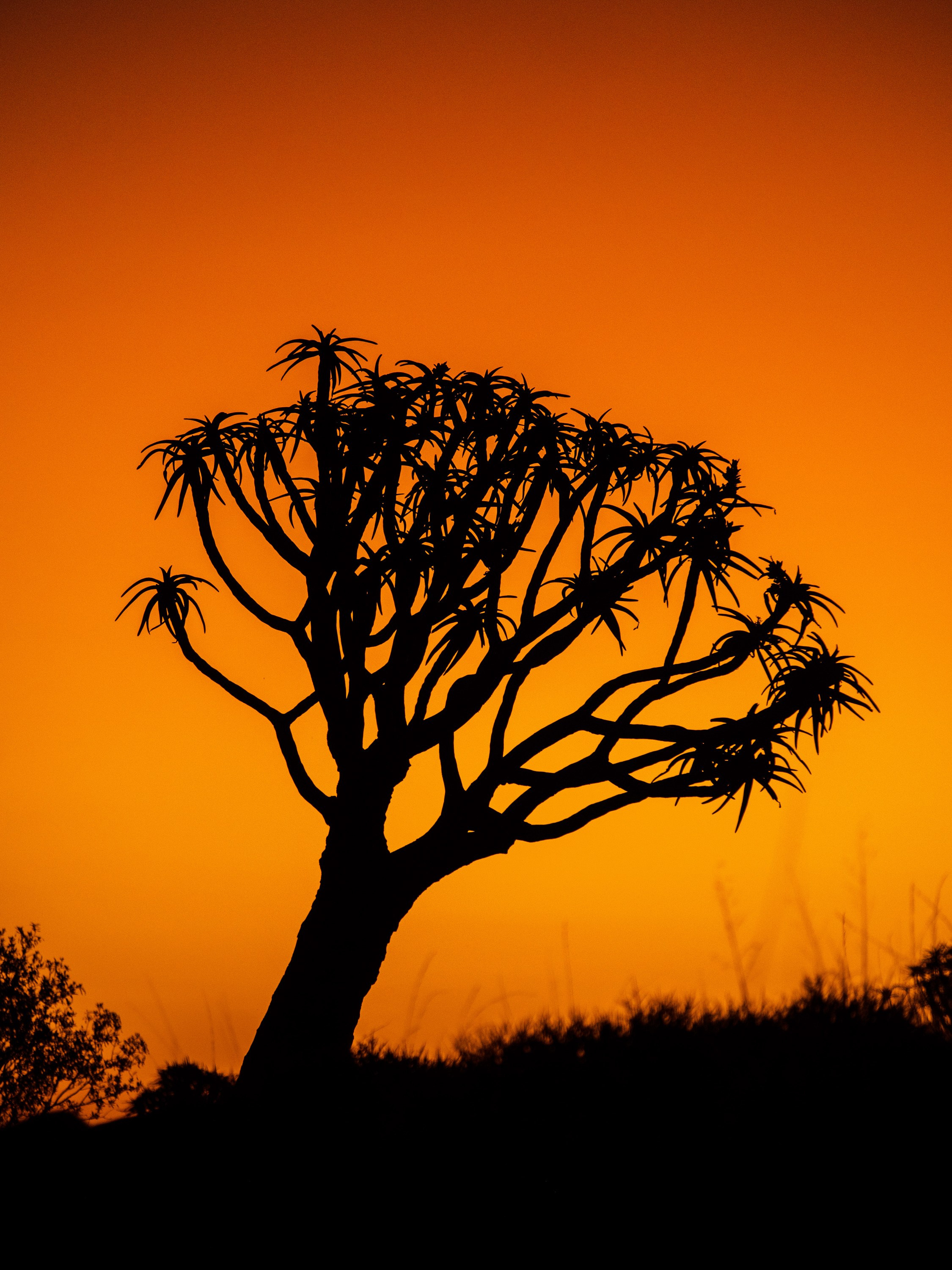 НАМИБИЯ. Роадтрип