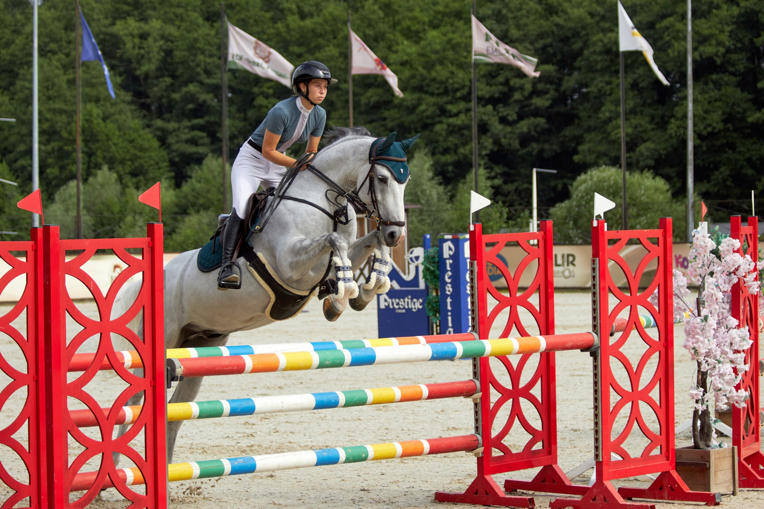 Конкур в «Виват, Россия». Фотограф анималист — Тула, Москва