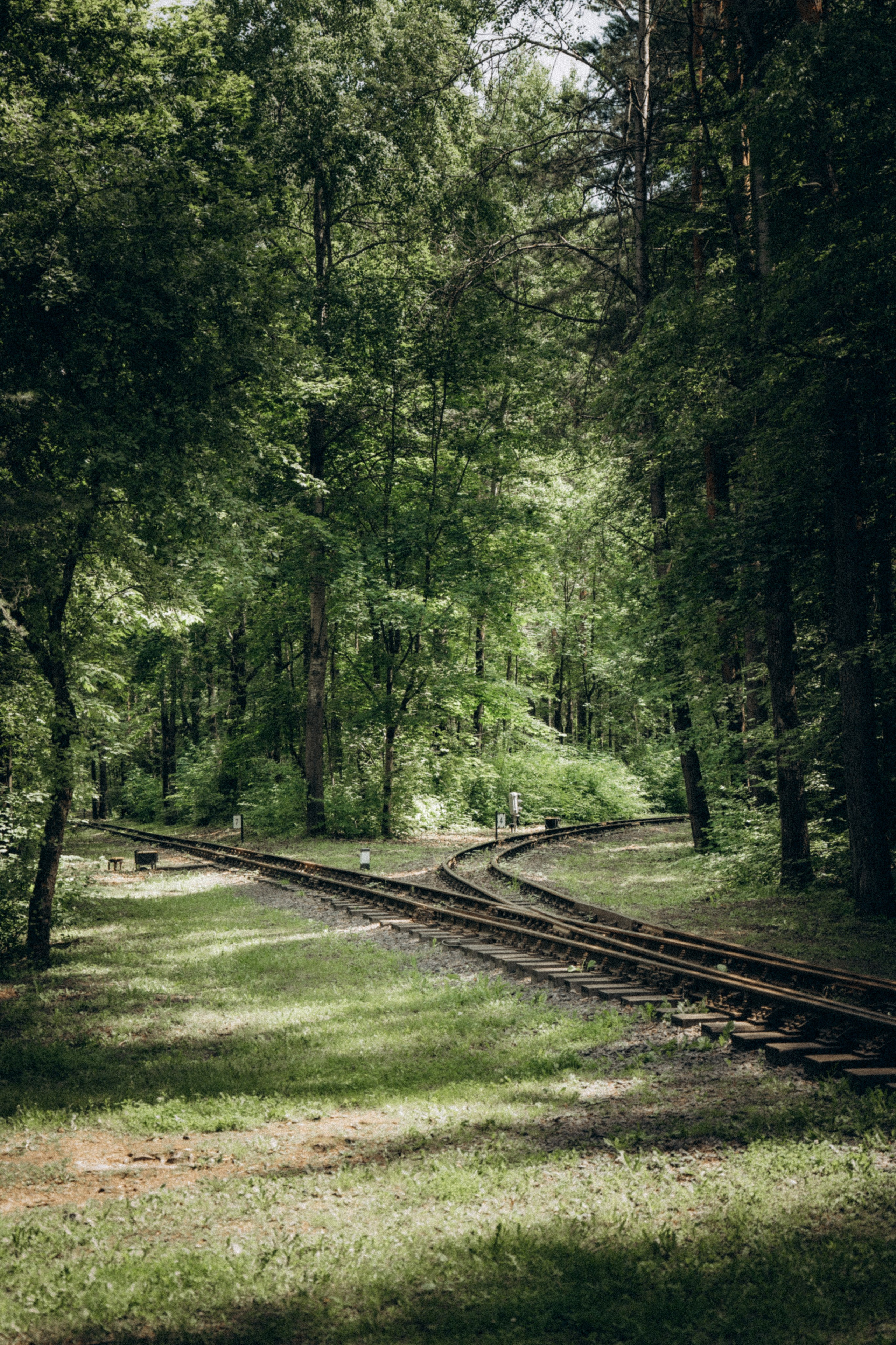 Детская железная дорога