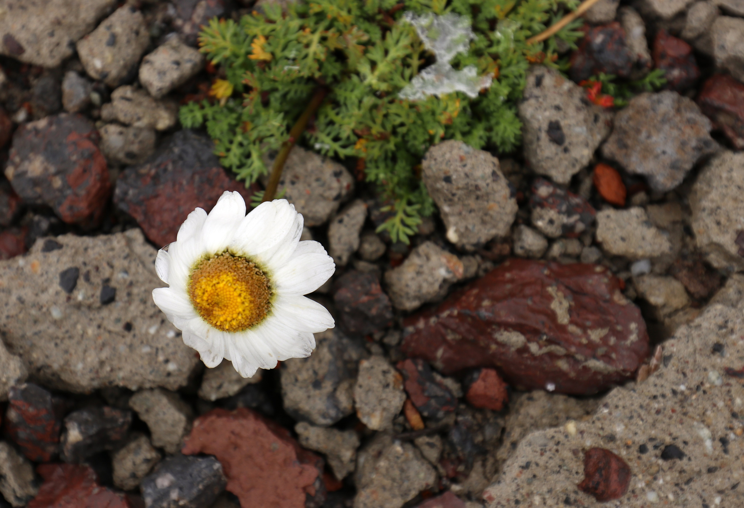 Приэльбрусье. Сентябрь 2024. Путешественник-фотограф из Санкт-Петербурга Татьяна Свистулина