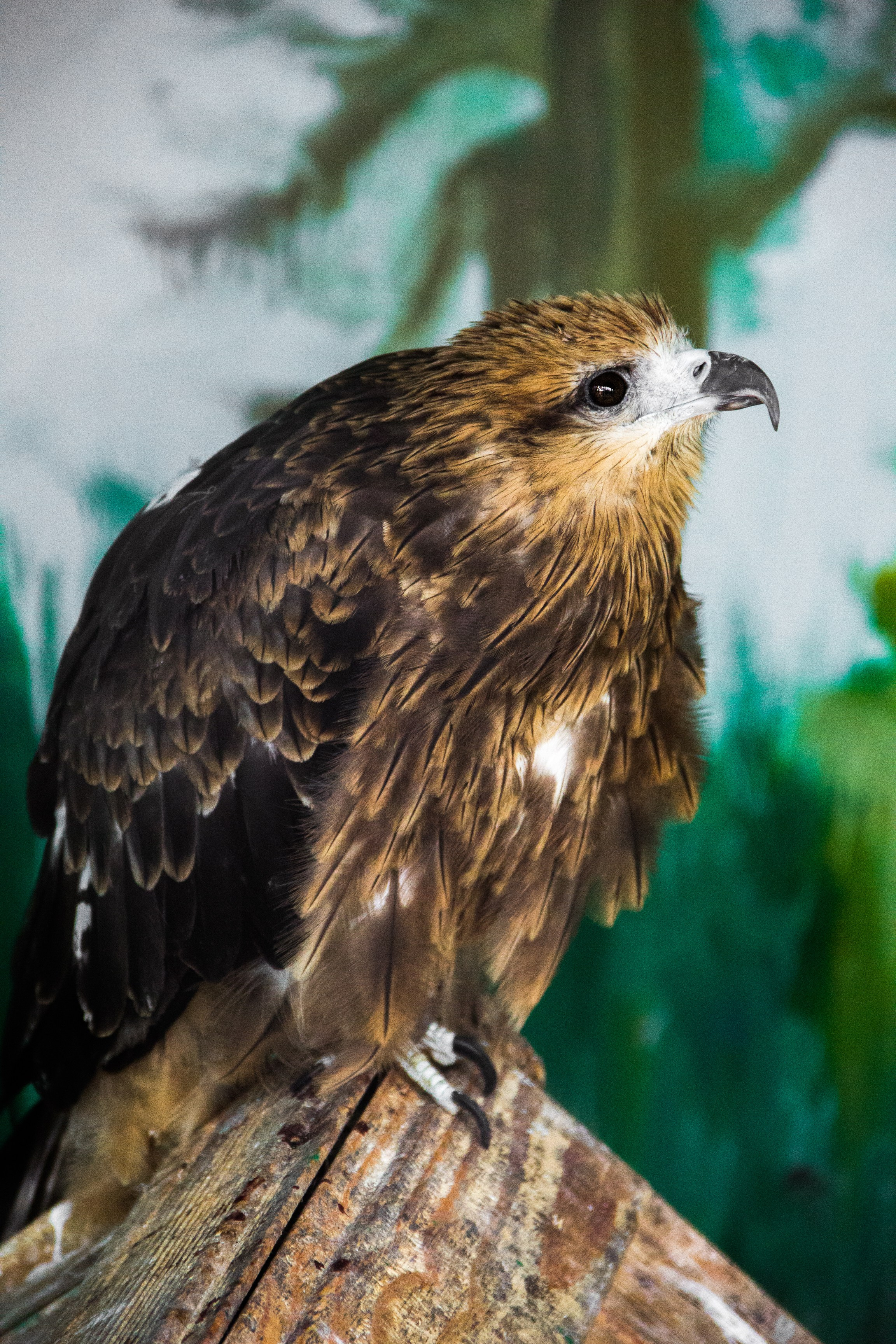 Репортаж. Промышленный, бизнес фотограф Кемеровская область, Шерегеш