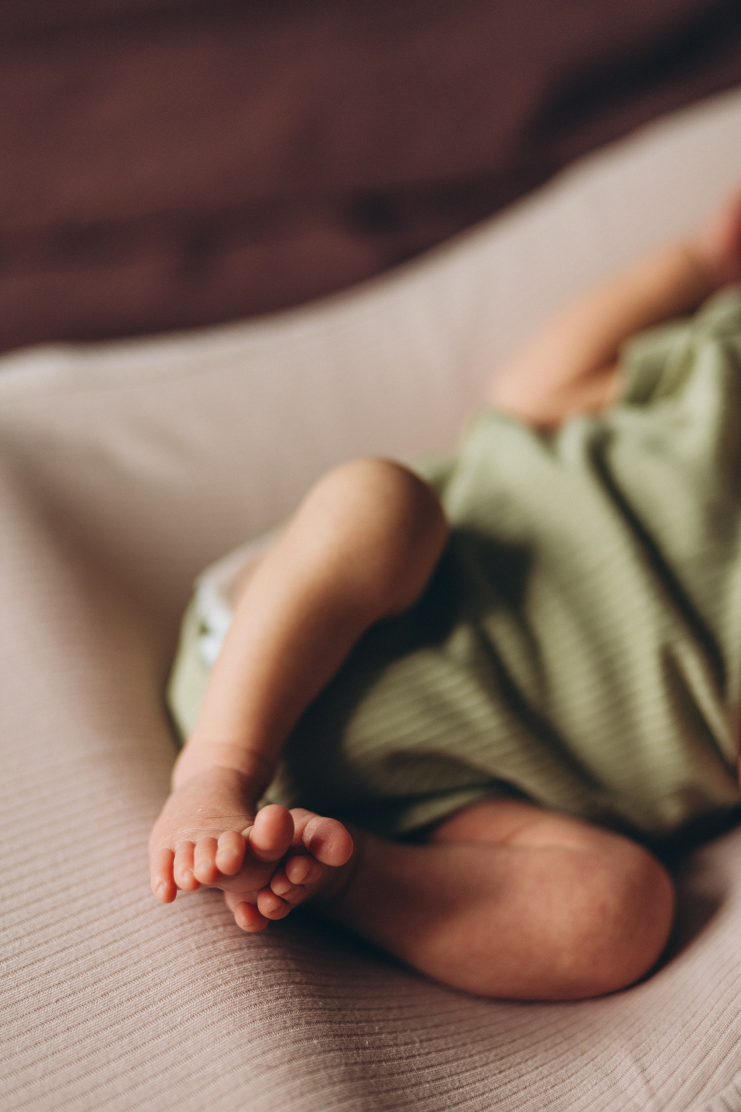 Нью борн домашняя. Семейный фотограф в Волгодонске Краченцева Анна