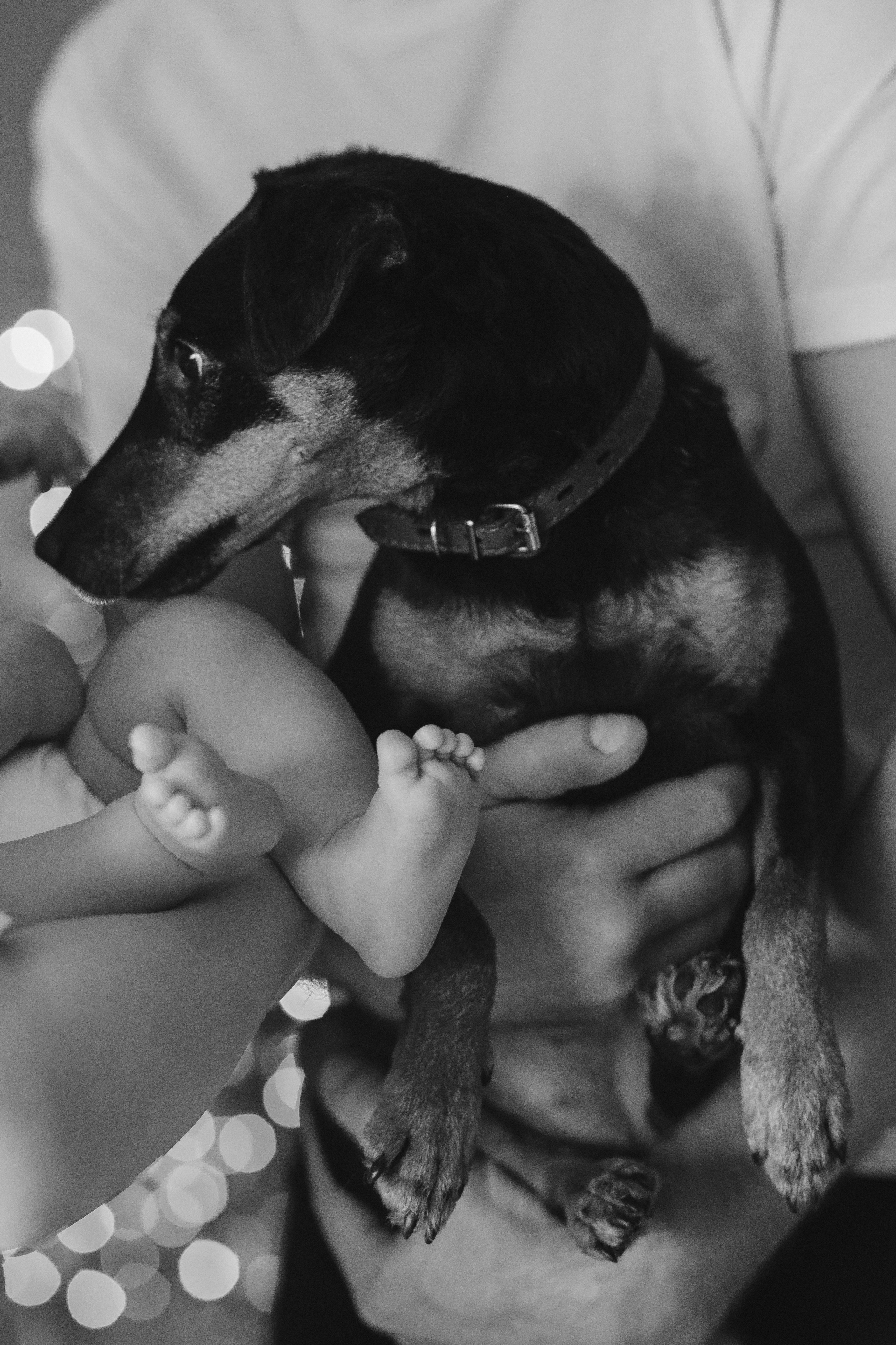 Домашняя фотосессия. Фотограф Нижний Новгород