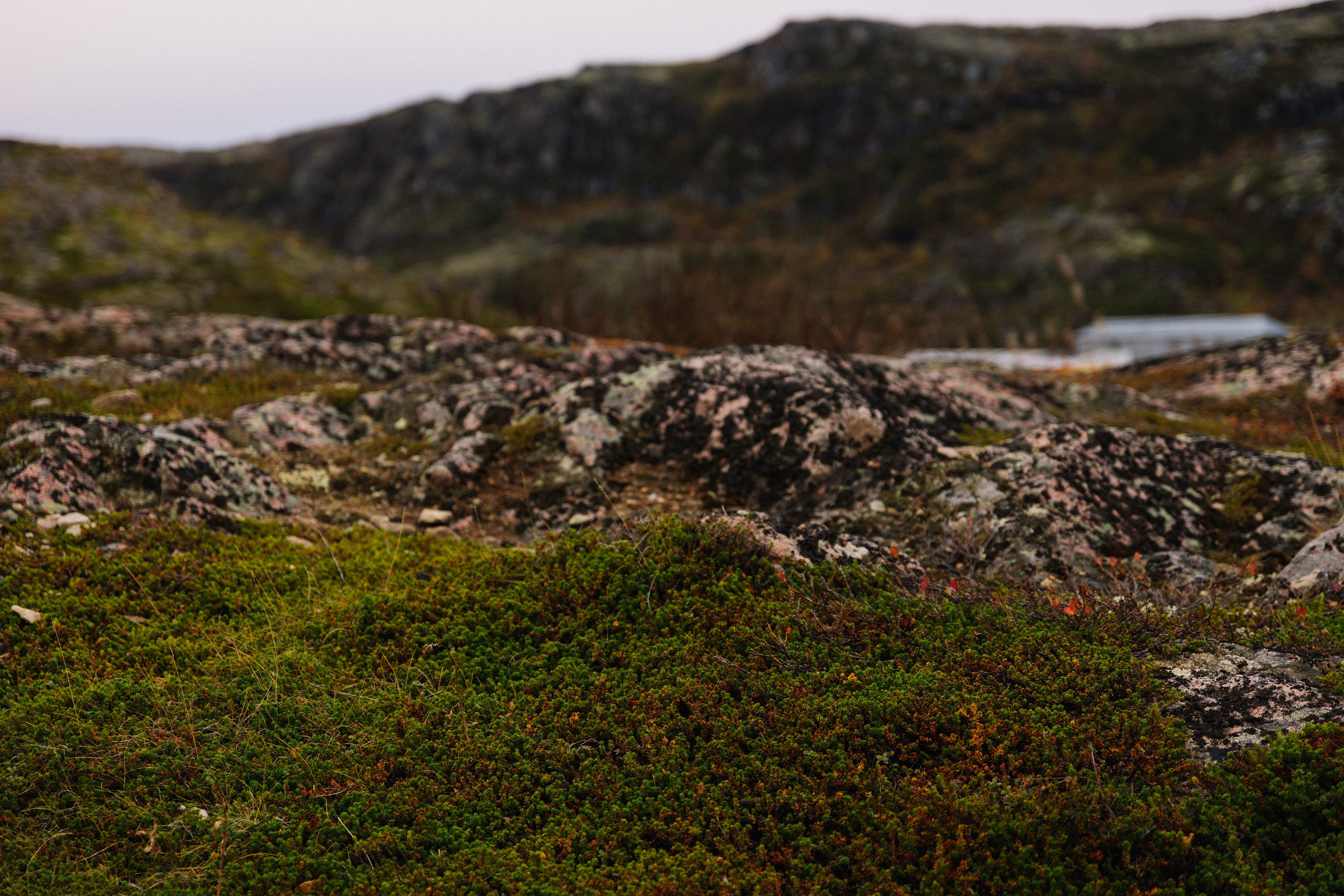 Backstage | Териберка. Репортажный фотограф в Мурманской области