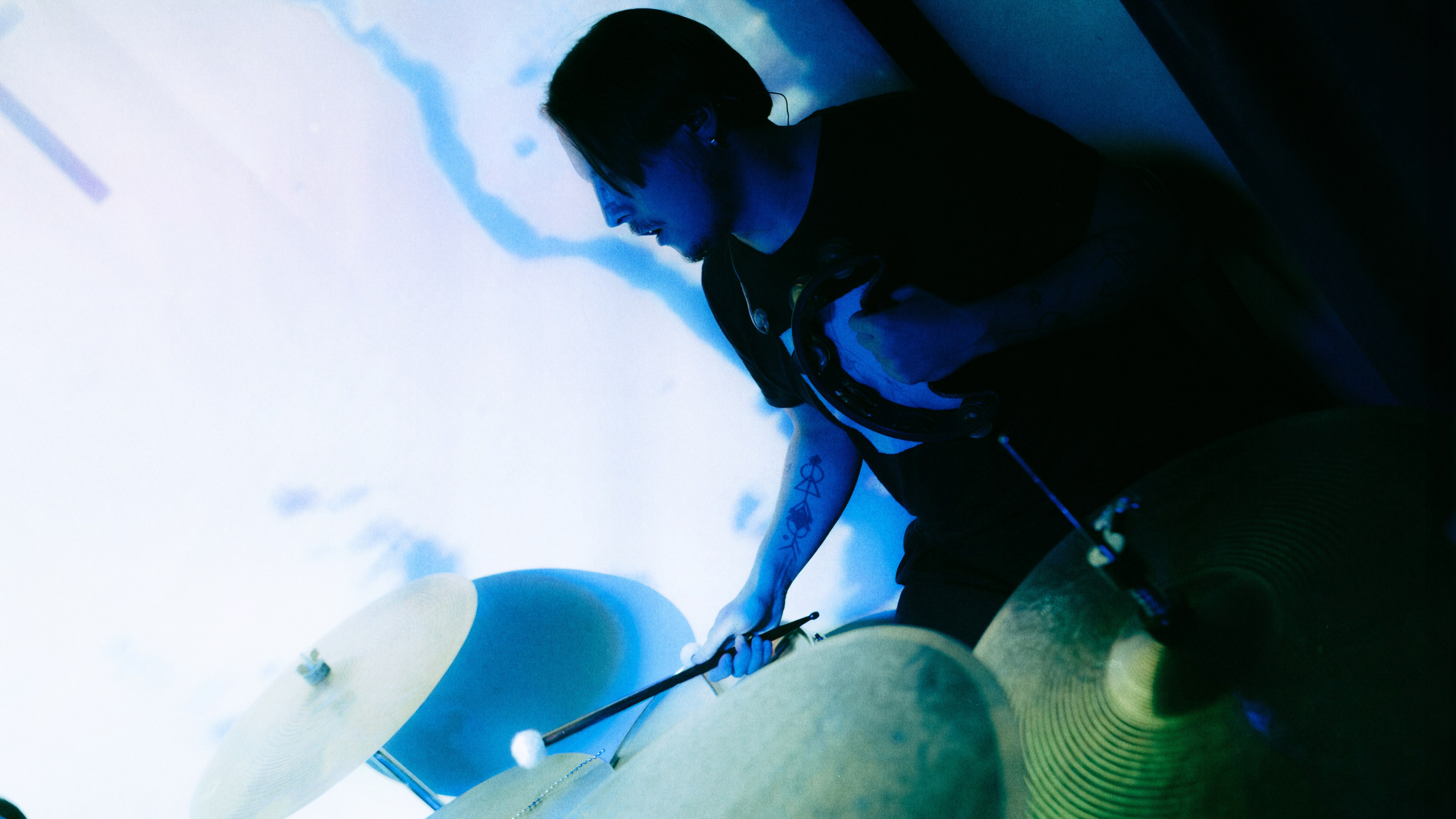 Dog Silent [pwrhs]. Фотограф Москва