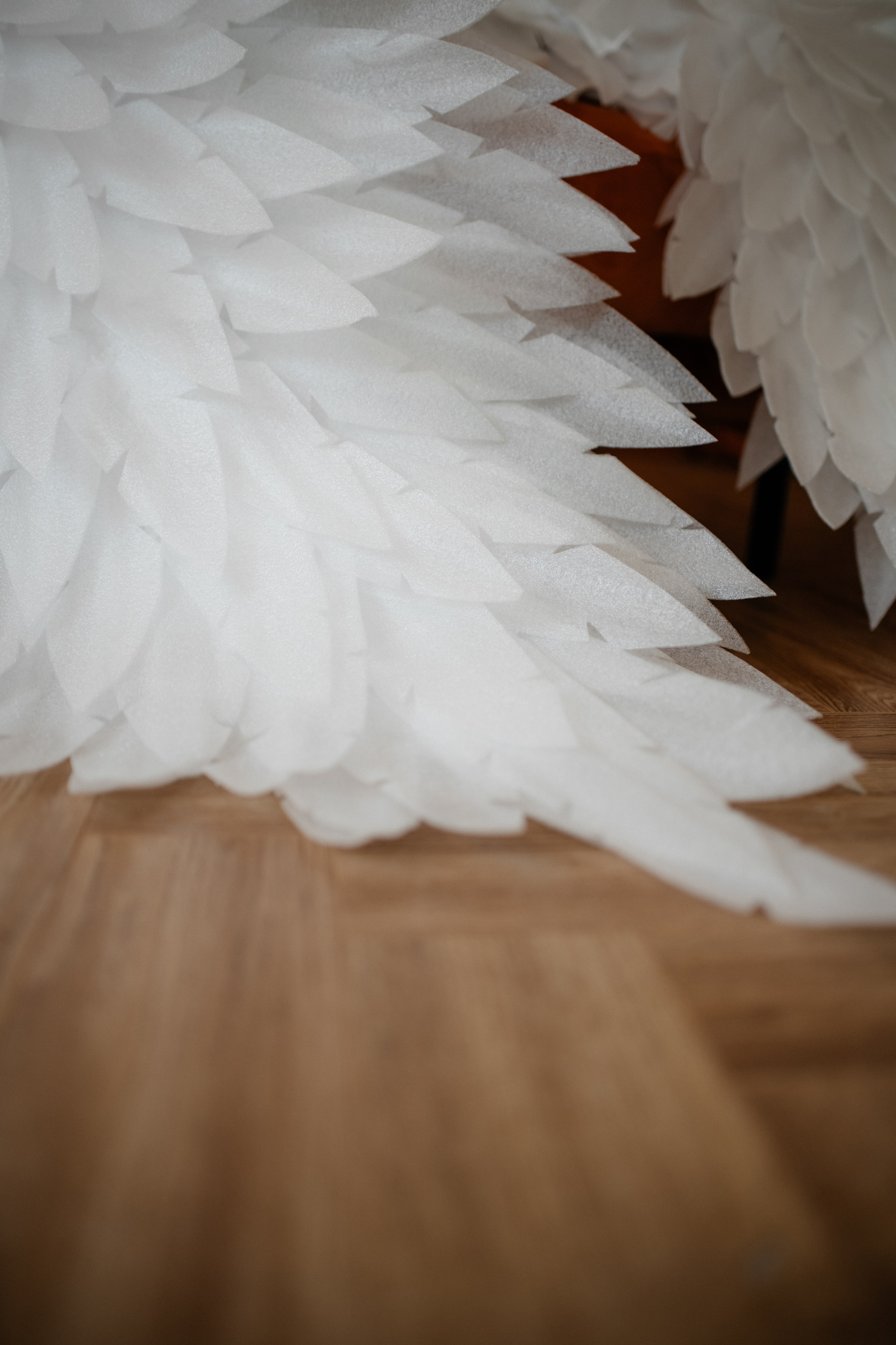 «Крылья любви: два мира — одно сердце». Фотограф в Москве/Зарайске Шахова Марина