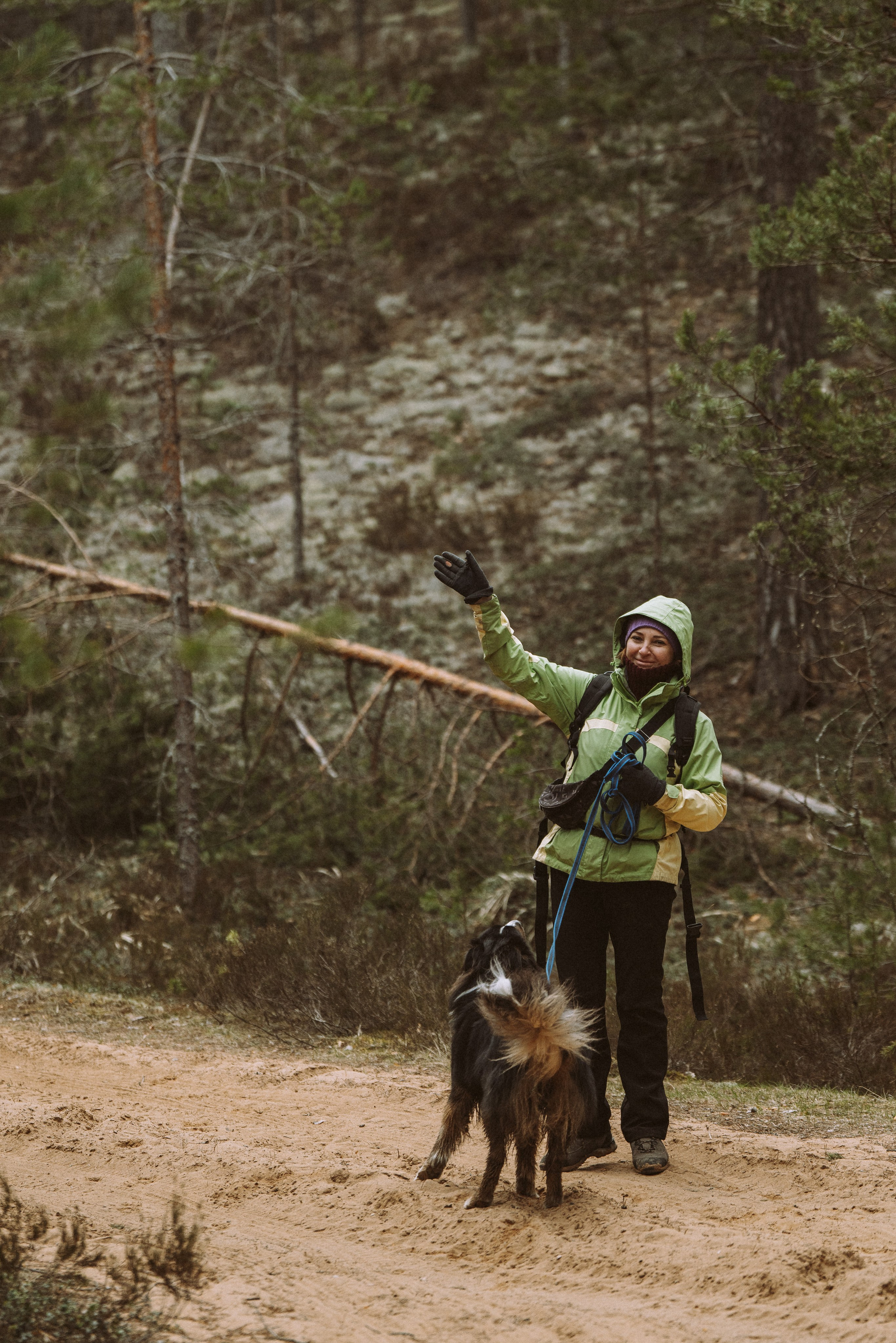 Дог трекинг к финскому хутору. Фотограф анималист в Спб недорого Олеся Майорова