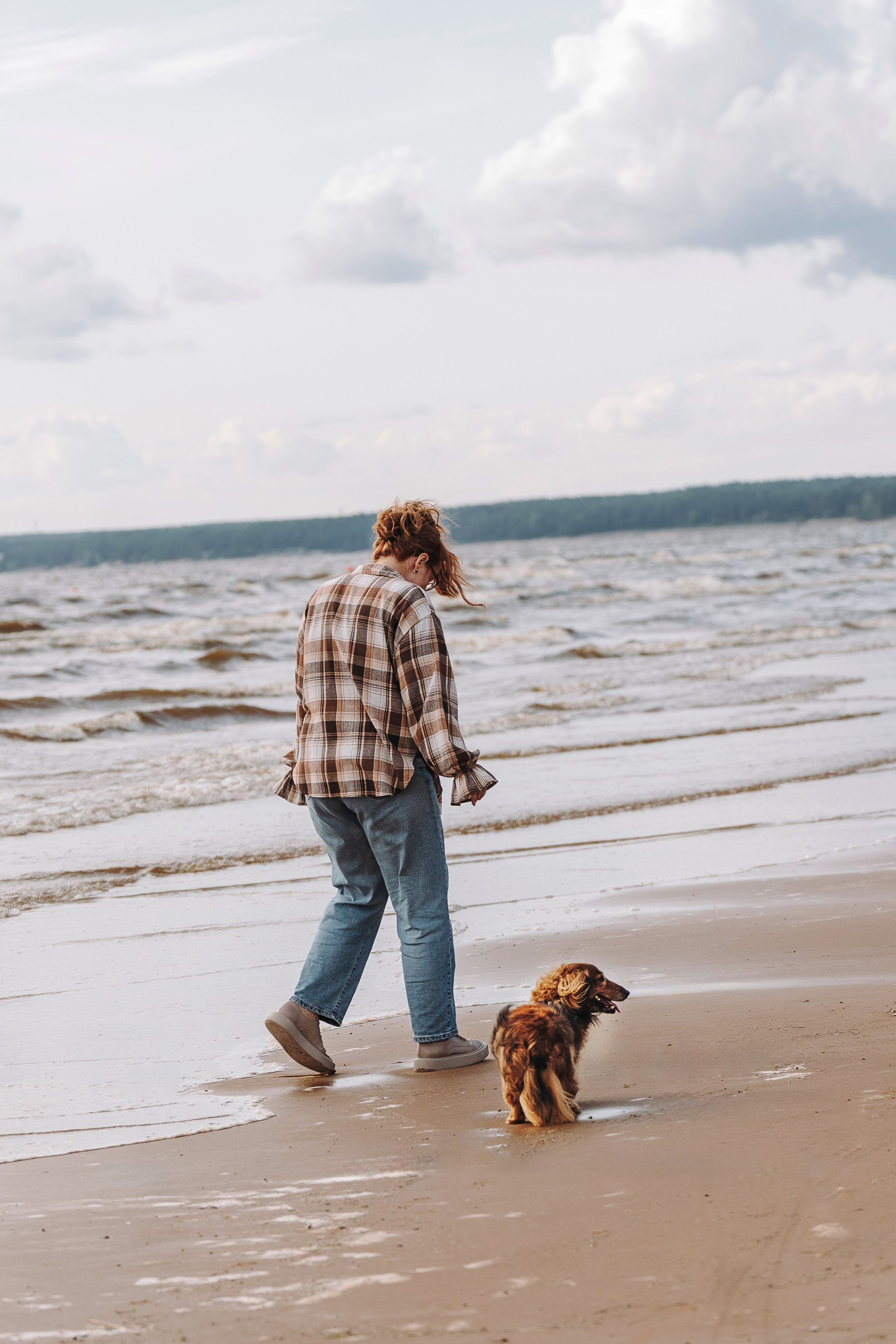 Фотосессия с длиношерстной таксой на пляжн. Фотограф анималист в Спб недорого Олеся Майорова