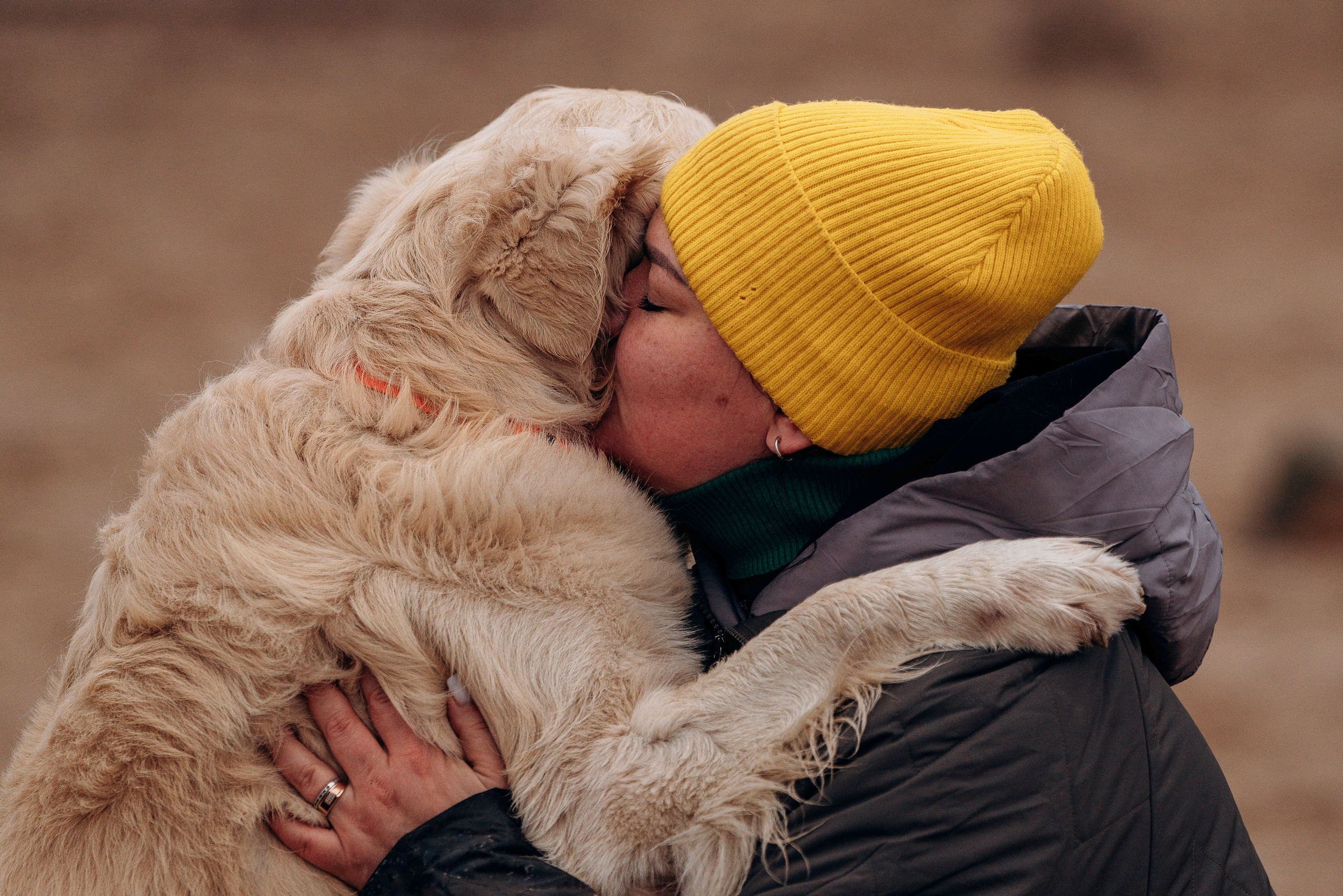 Асти, Крис и Александра. Фотограф анималист в Спб недорого Олеся Майорова