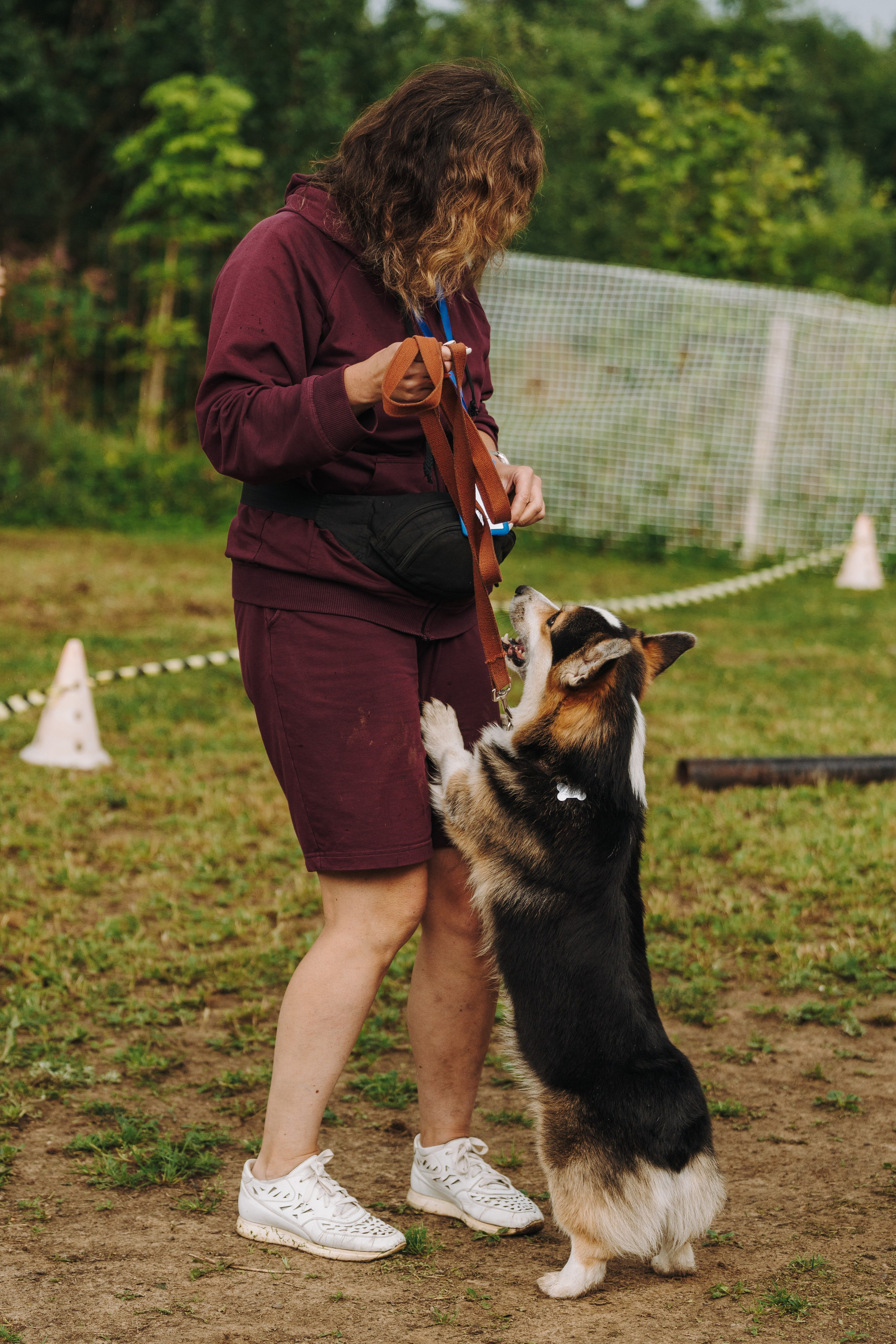 Соревнования по ноузворку в Новожилово. Фотограф анималист в Спб недорого Олеся Майорова