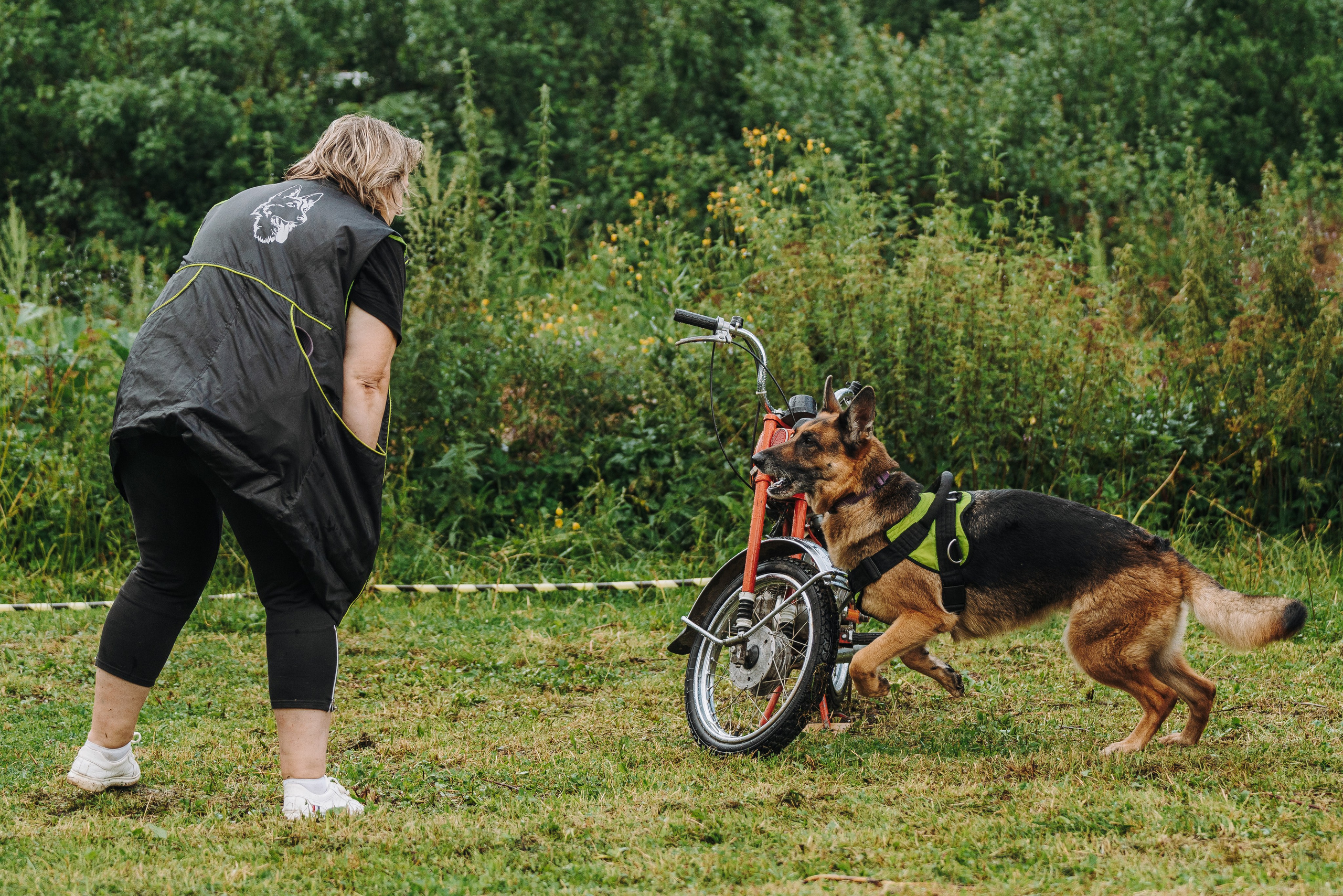 Соревнования по ноузворку в Новожилово. Фотограф анималист в Спб недорого Олеся Майорова
